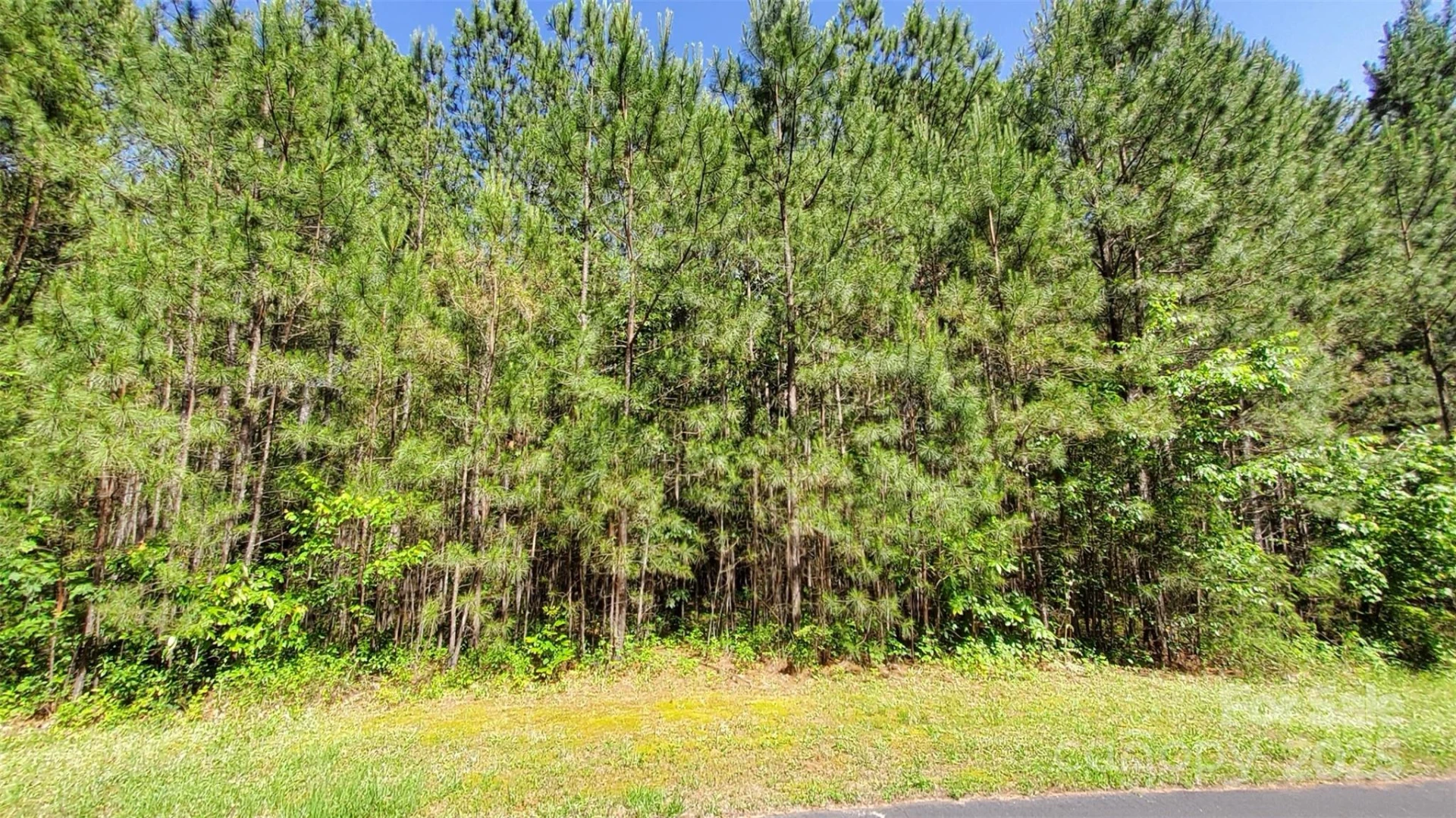 0000 Loblolly Lane #24/23/22 - Photo 14