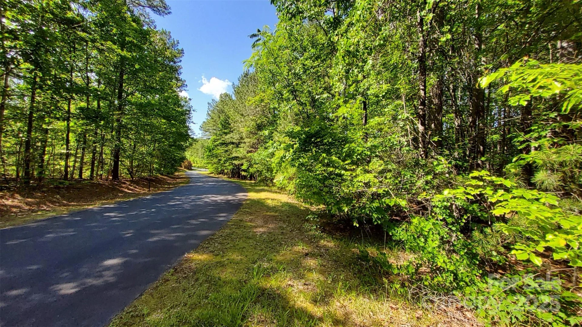 0000 Loblolly Lane #24/23/22 - Photo 15