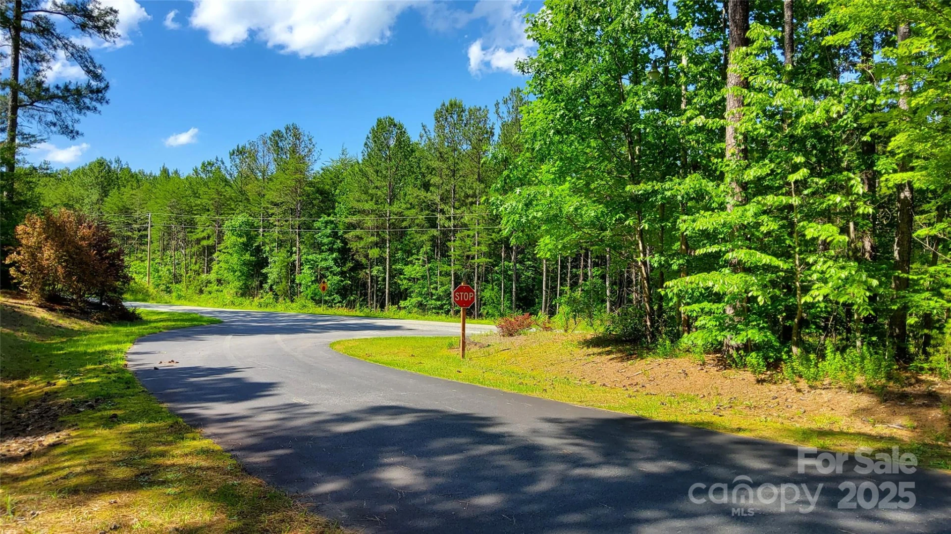 0000 Loblolly Lane #24/23/22 - Photo 18