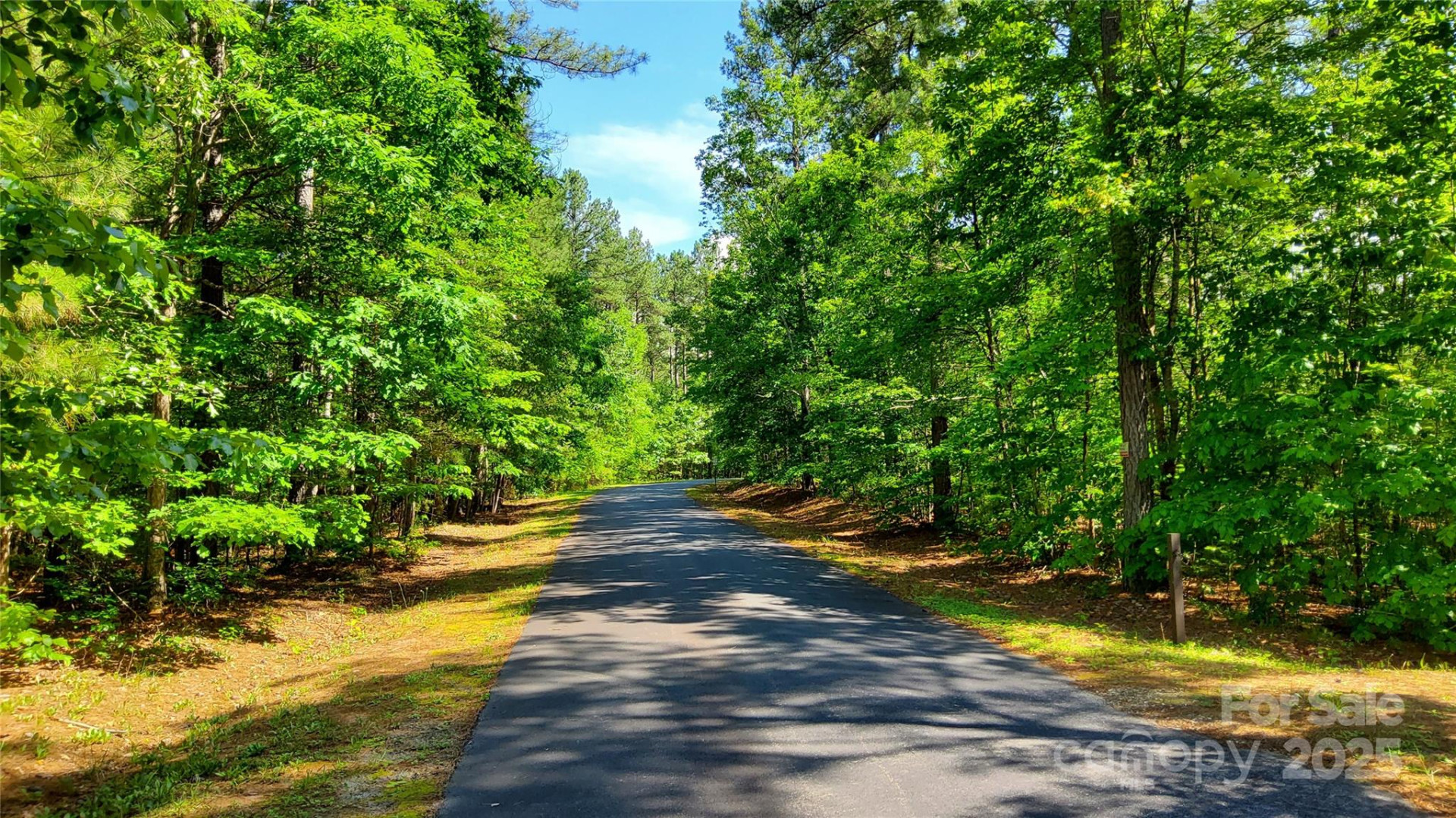 0000 Loblolly Lane #24/23/22 - Photo 4