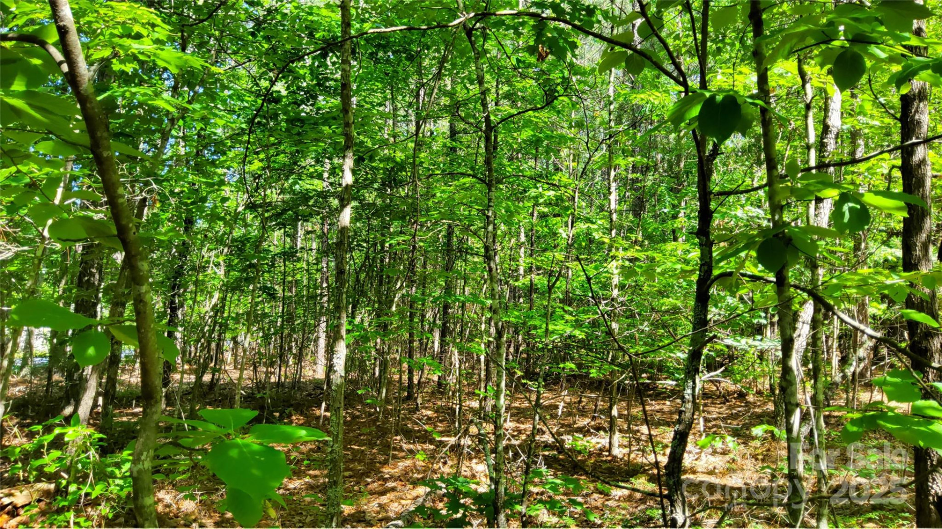 0000 Loblolly Lane #24/23/22 - Photo 5