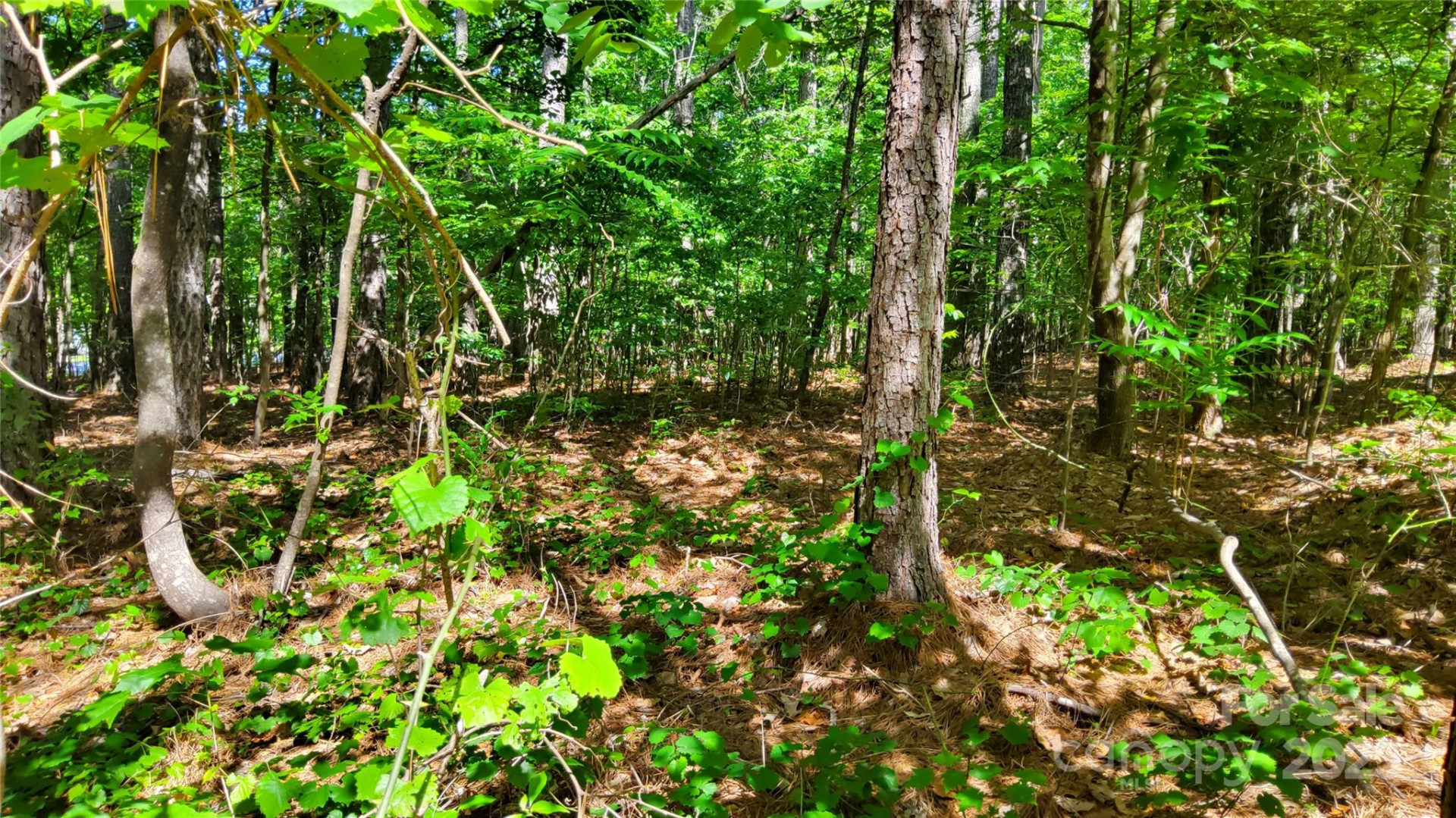 0000 Loblolly Lane #24/23/22 - Photo 6