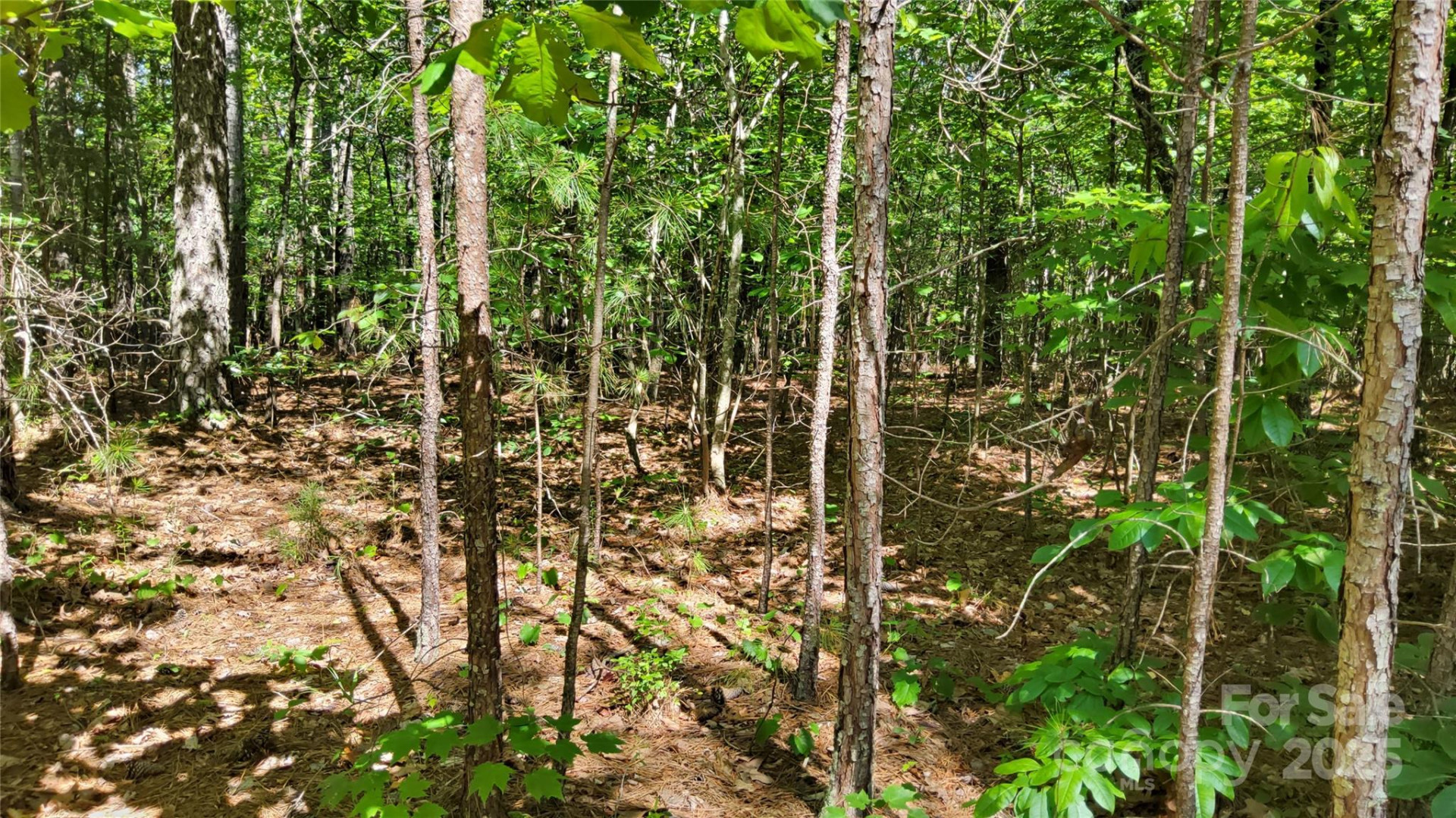 0000 Loblolly Lane #24/23/22 - Photo 7