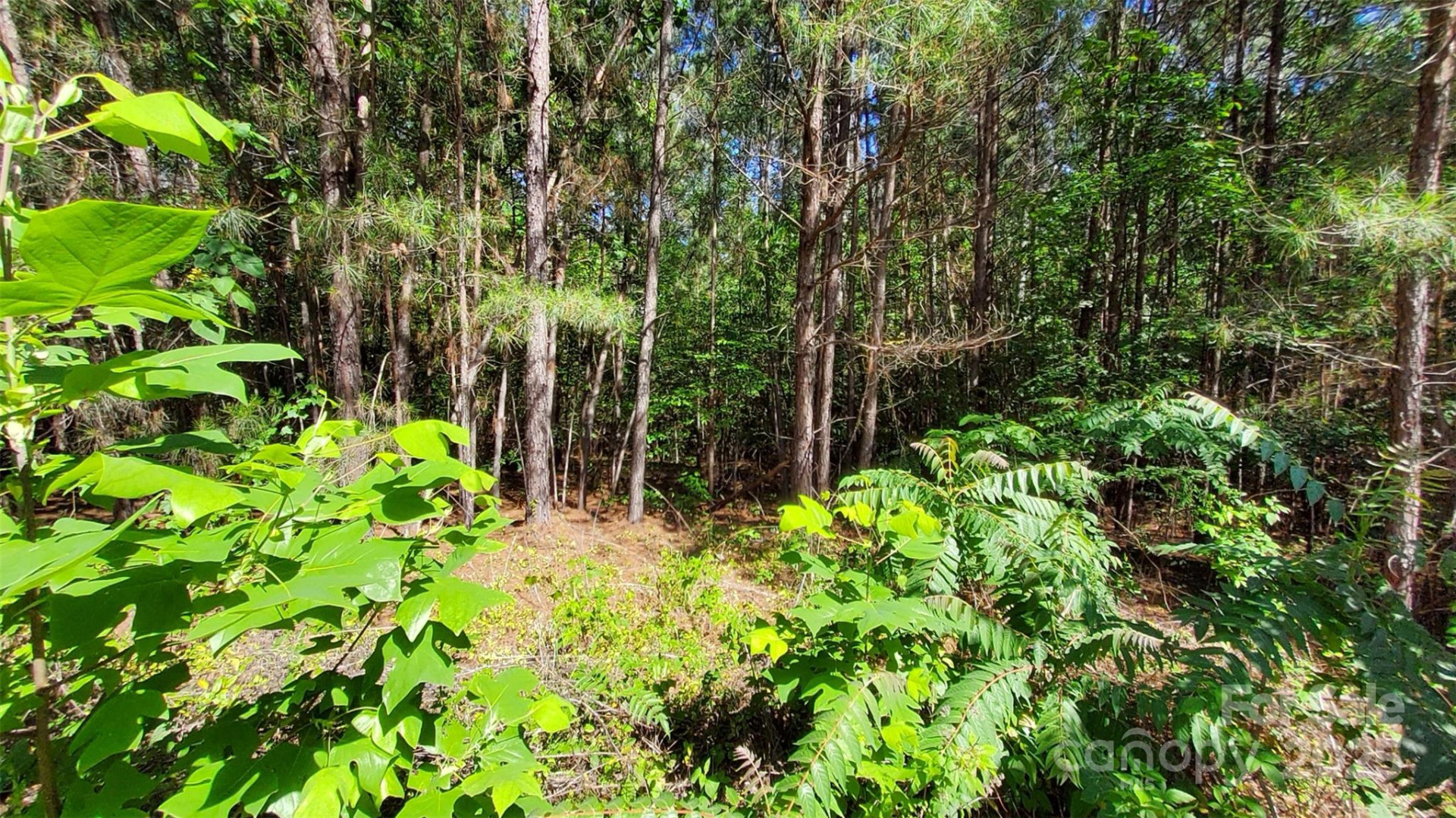 0000 Loblolly Lane #24/23/22 - Photo 8