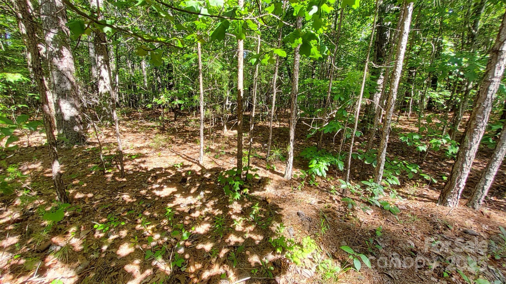 0000 Loblolly Lane #24/23/22 - Photo 10