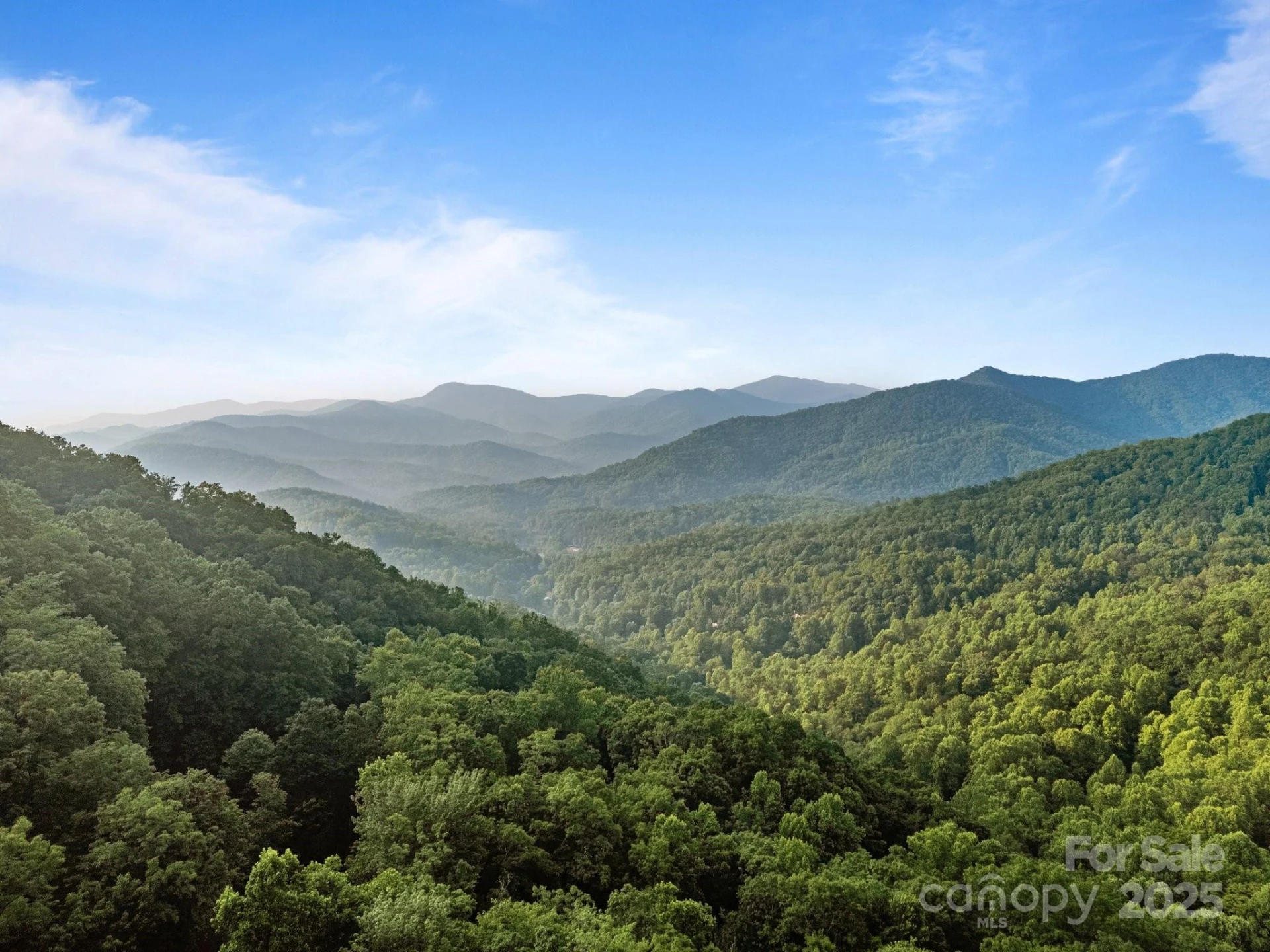 10 Turkey Trot Trail - Photo 2