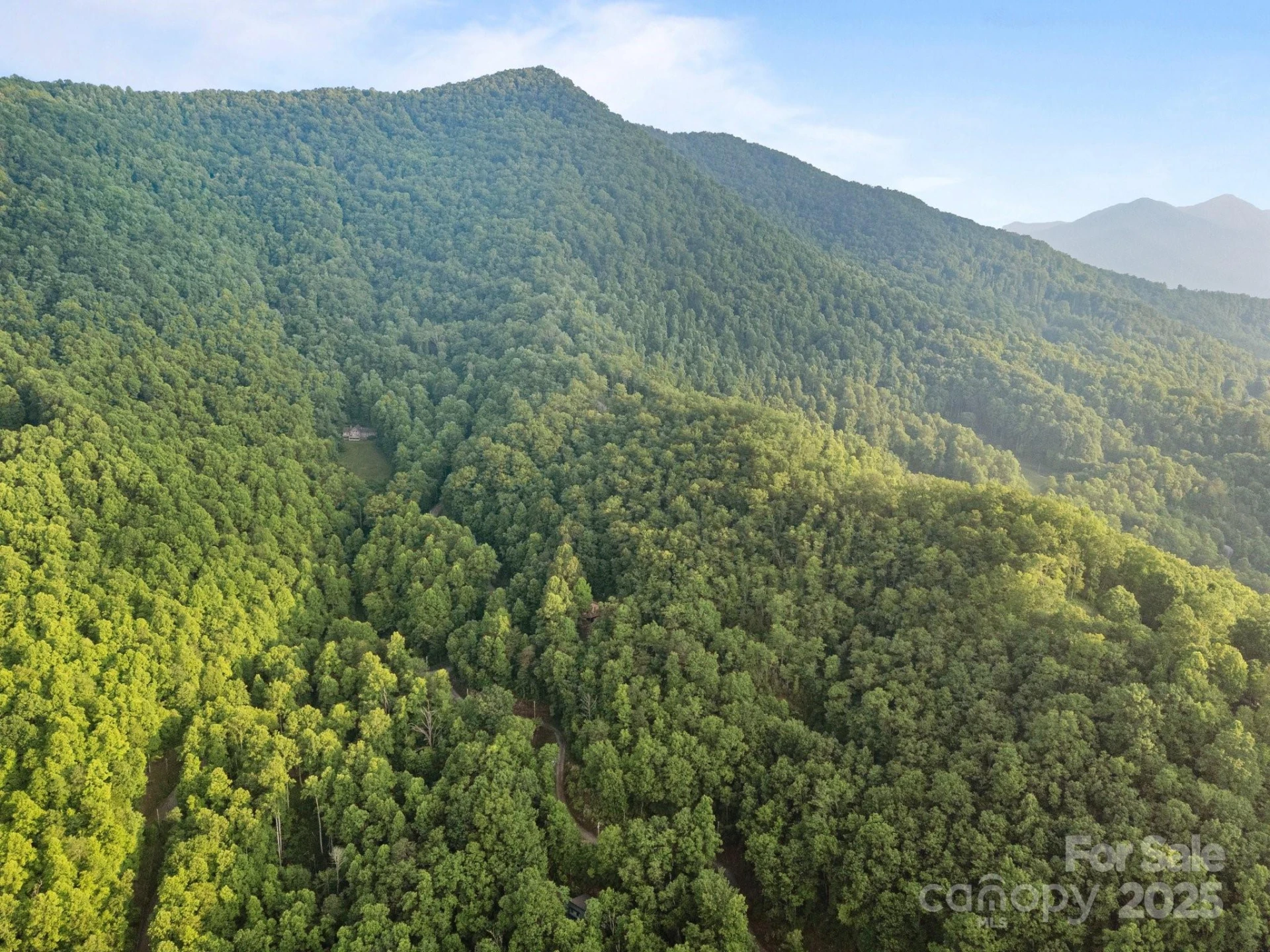 10 Turkey Trot Trail - Photo 11