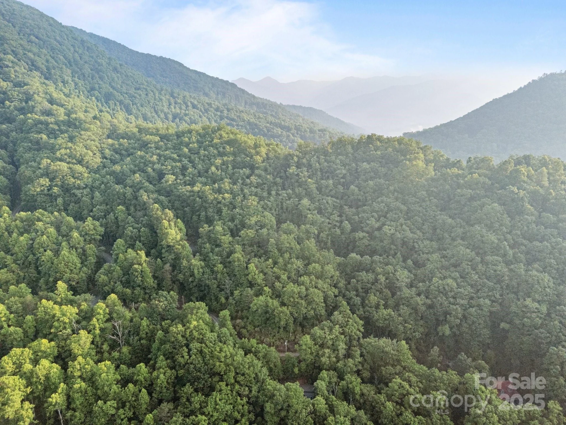 10 Turkey Trot Trail - Photo 12