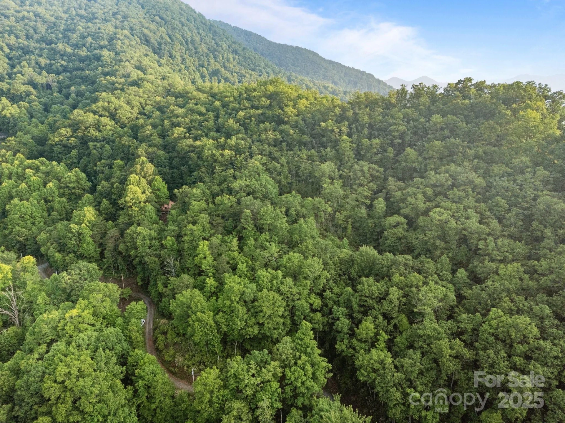 10 Turkey Trot Trail - Photo 13