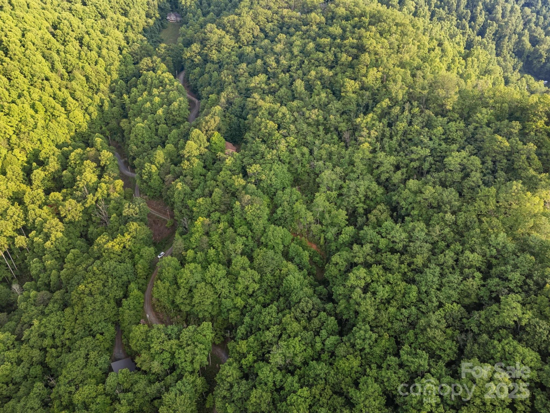 10 Turkey Trot Trail - Photo 14