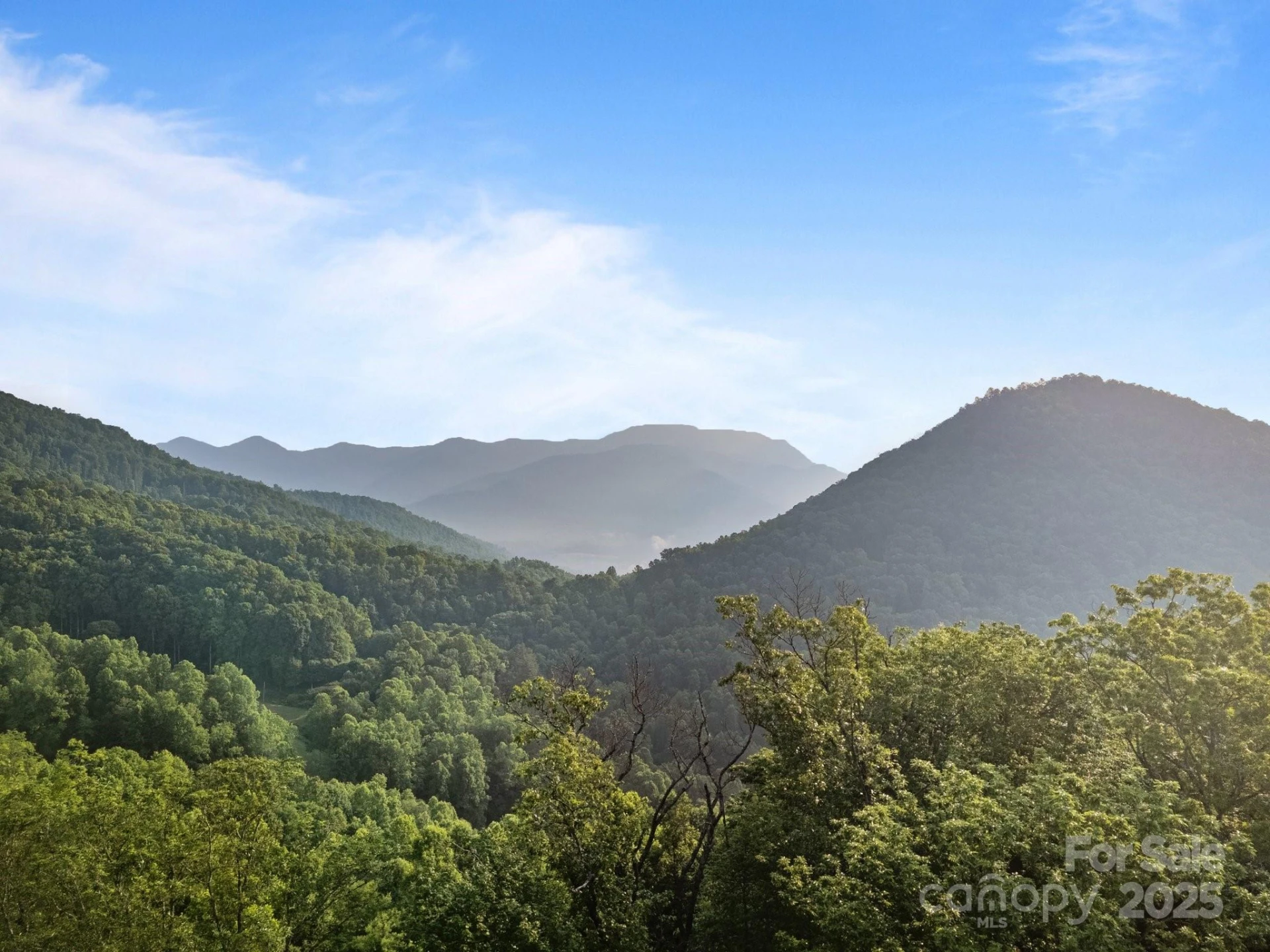 10 Turkey Trot Trail - Photo 15