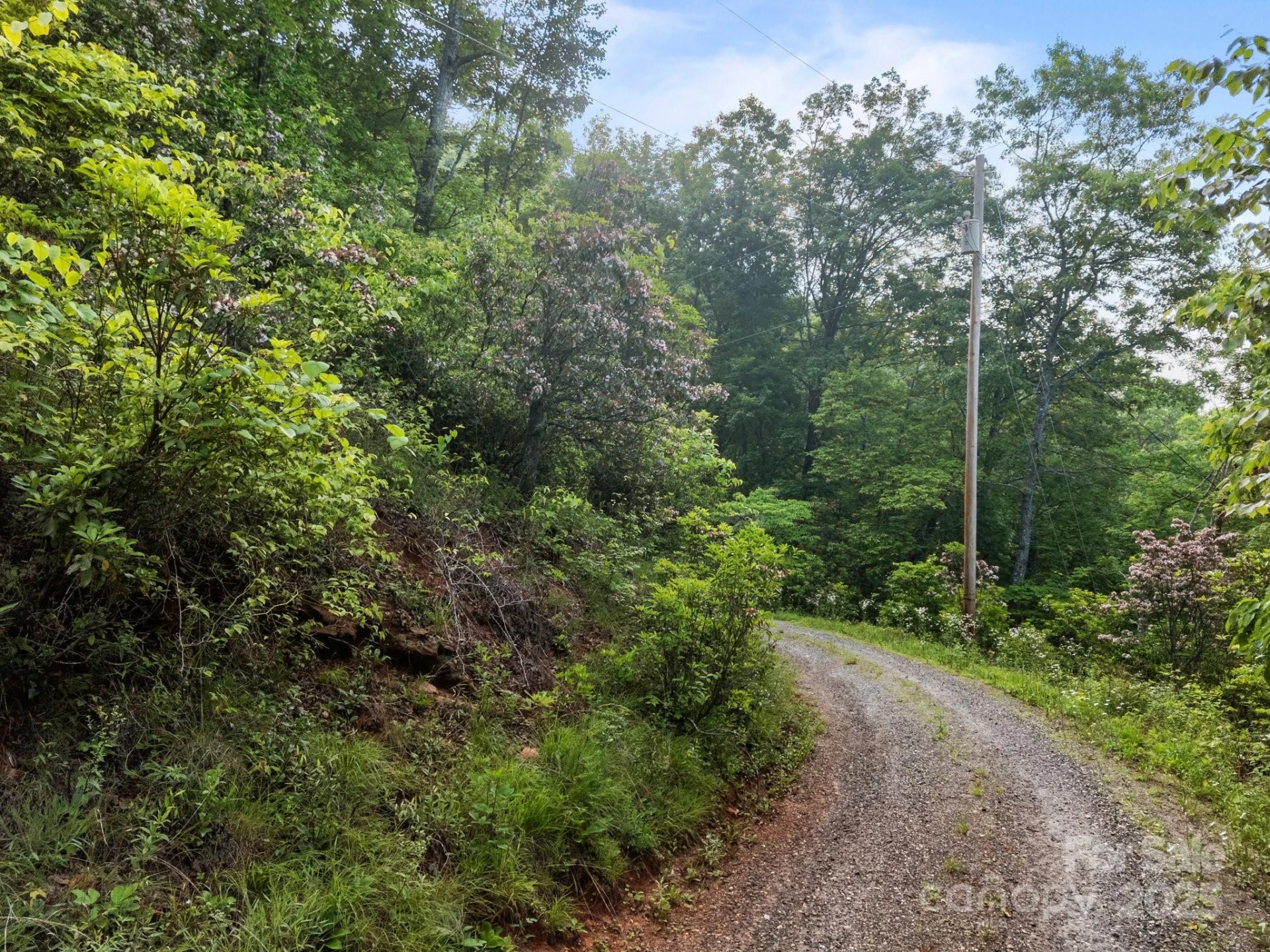 10 Turkey Trot Trail - Photo 3