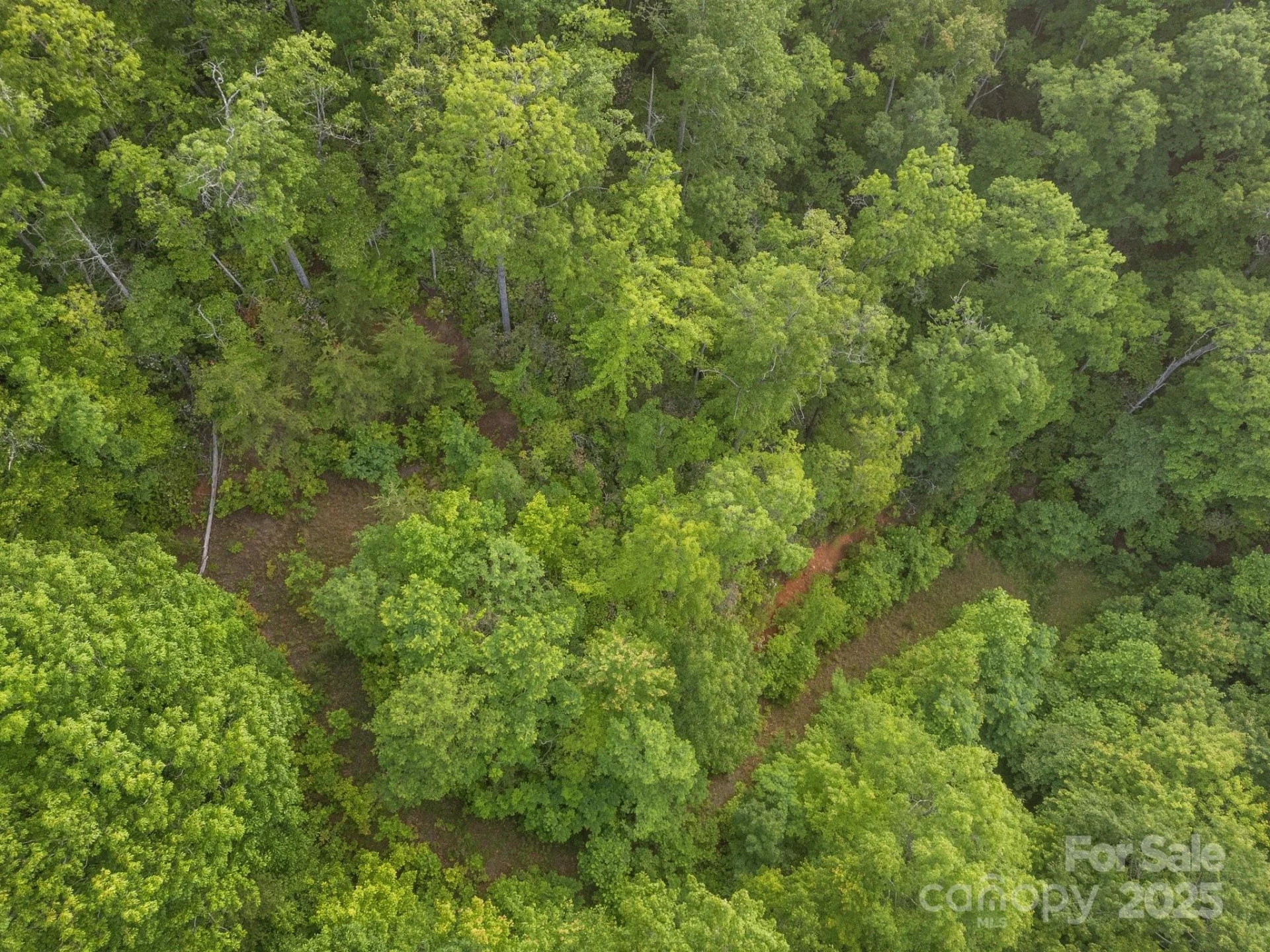 10 Turkey Trot Trail - Photo 4