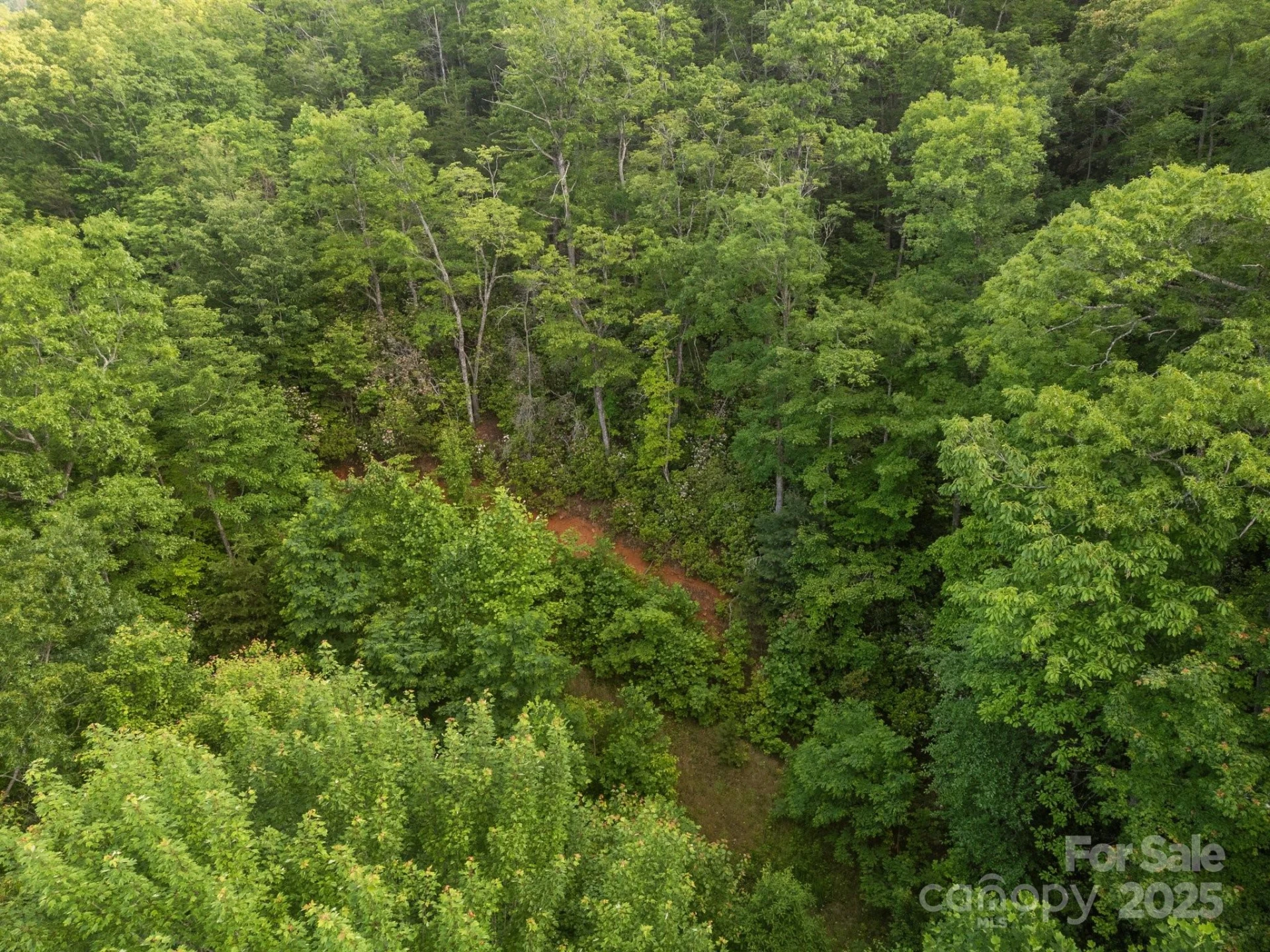 10 Turkey Trot Trail - Photo 5
