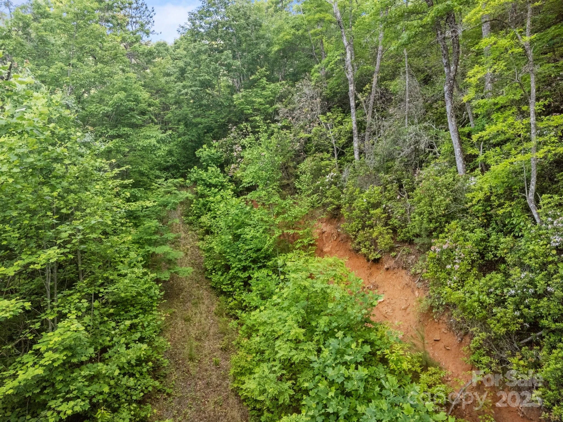 10 Turkey Trot Trail - Photo 6