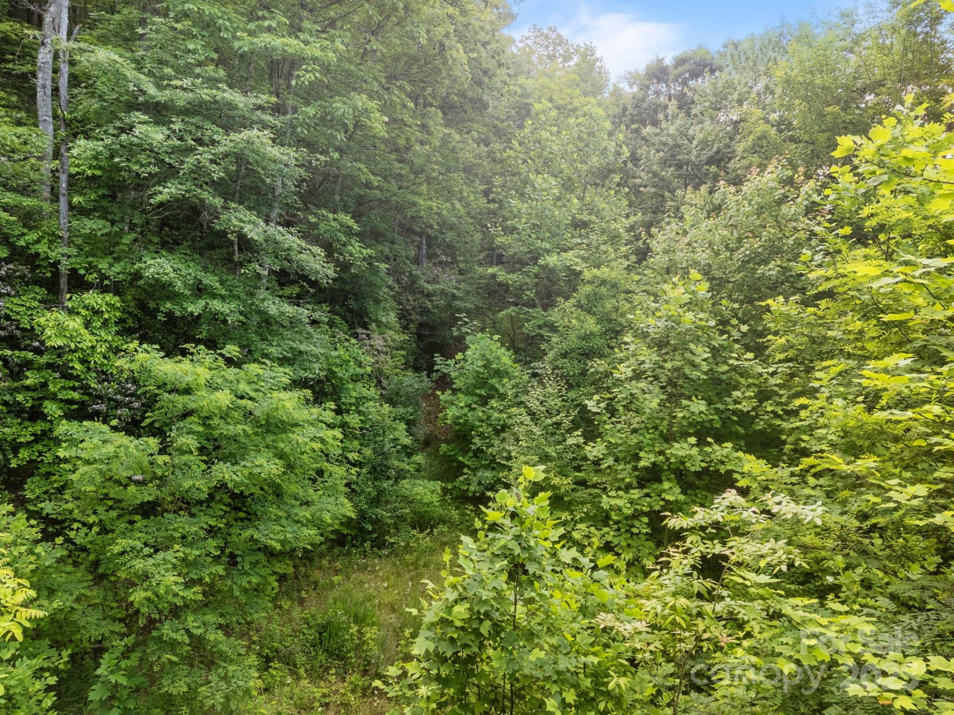 10 Turkey Trot Trail - Photo 7