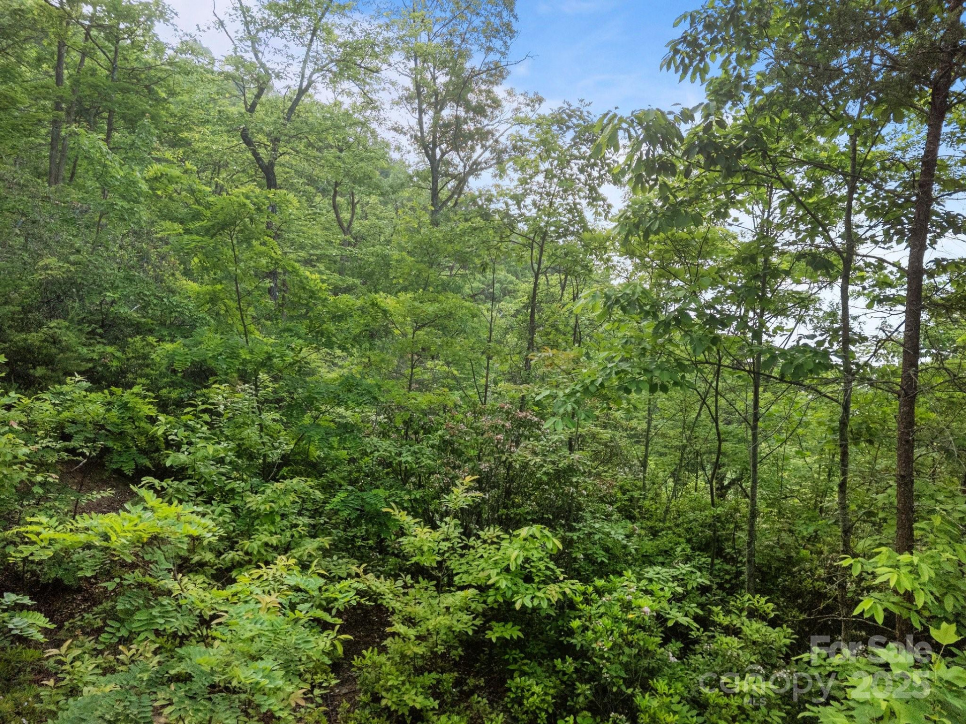 10 Turkey Trot Trail - Photo 8