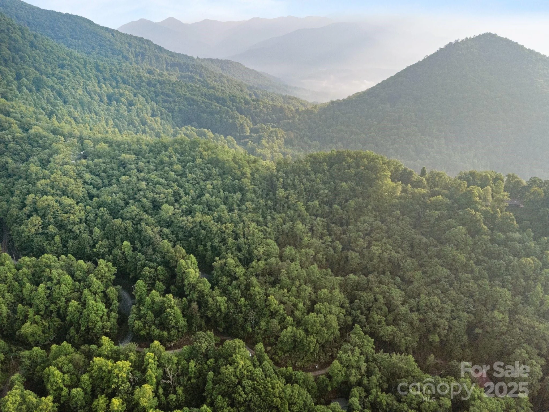 10 Turkey Trot Trail - Photo 9