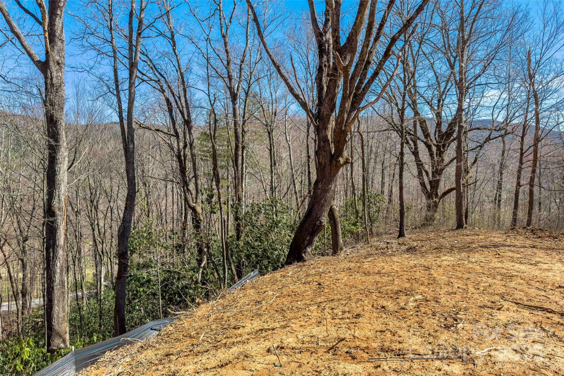 Lot# 158 Hunnicut Mountain Road - Photo 11