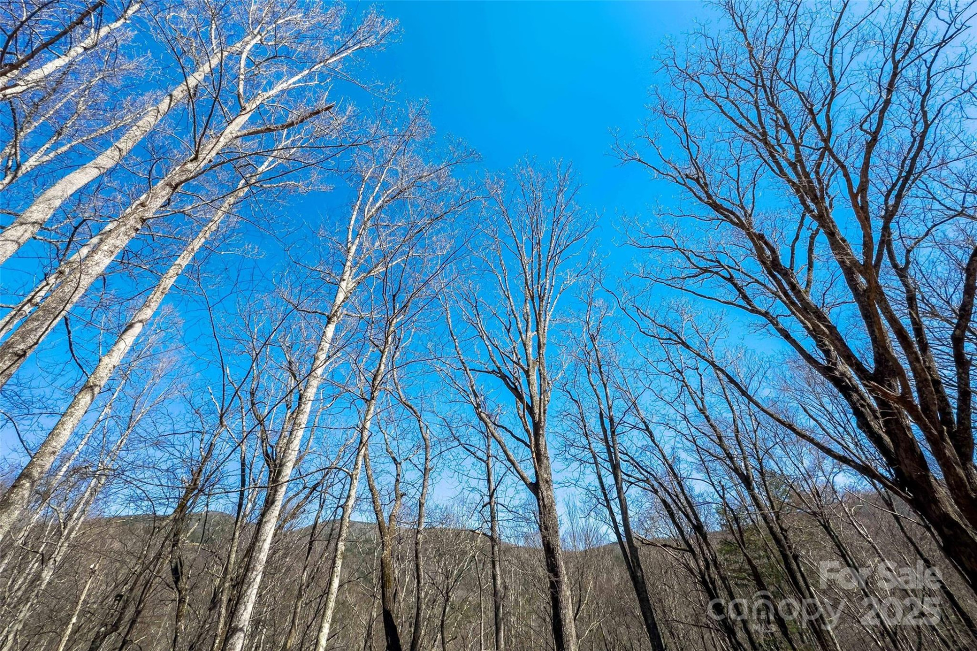 Lot# 158 Hunnicut Mountain Road - Photo 12