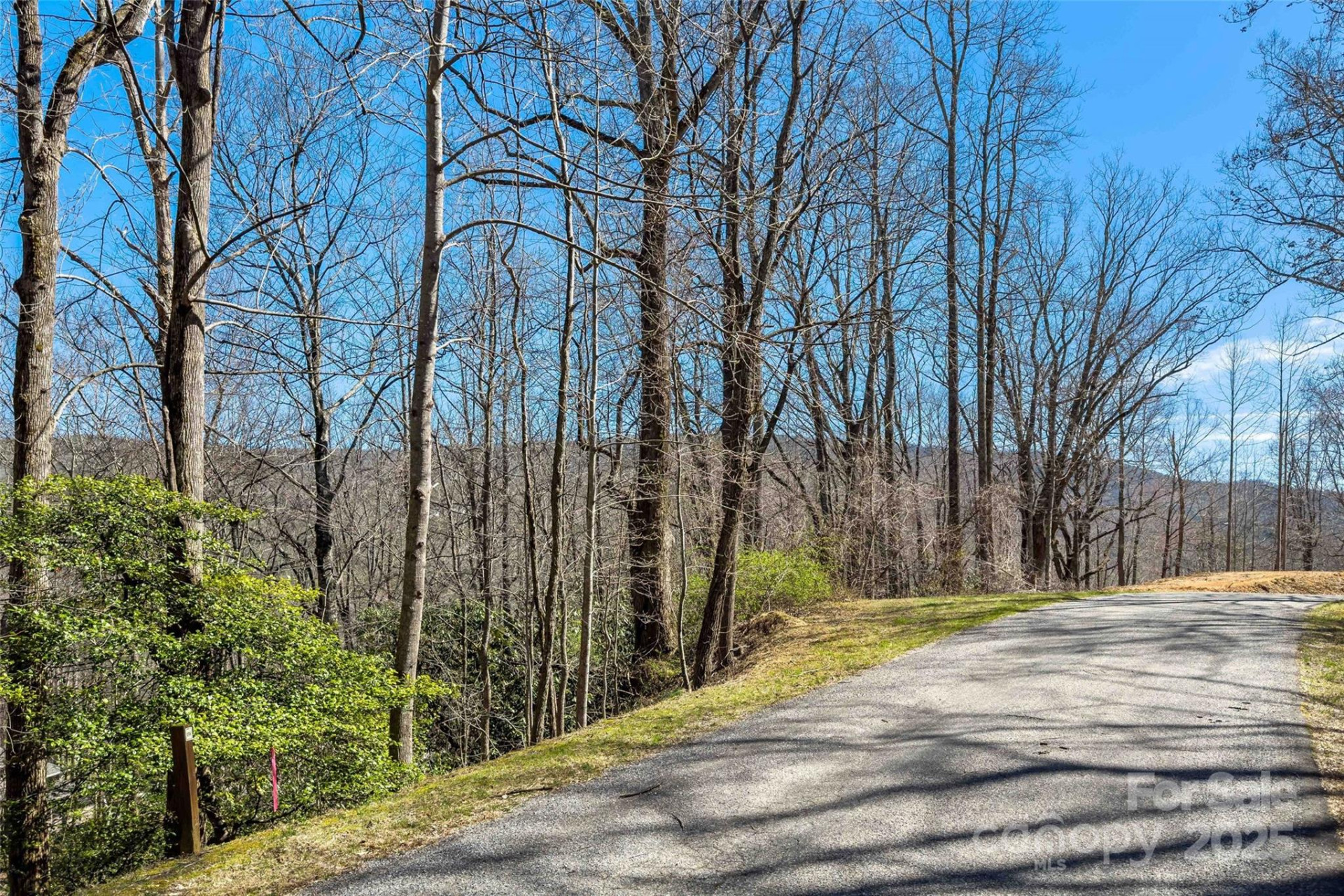 Lot# 158 Hunnicut Mountain Road - Photo 3