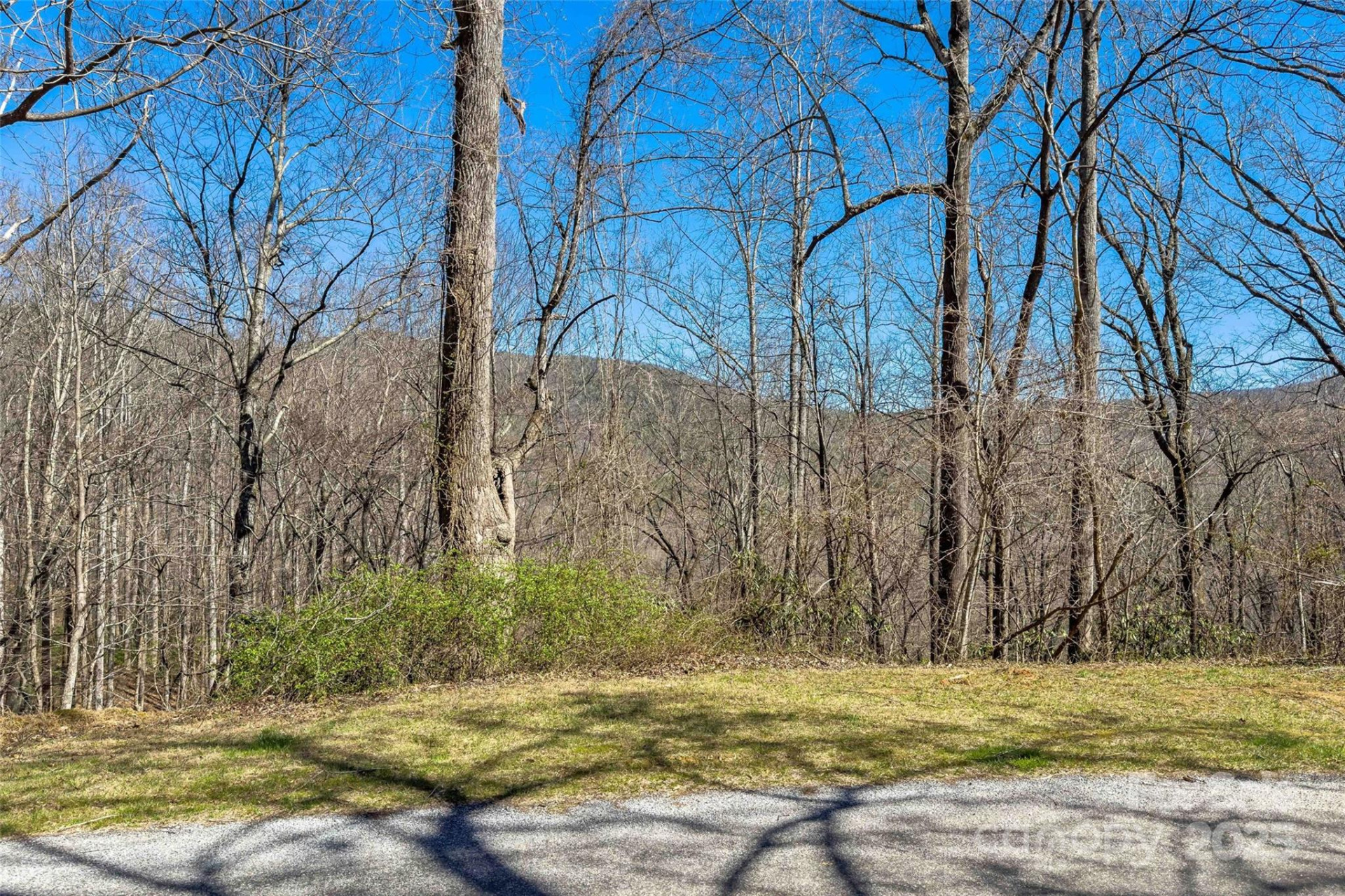 Lot# 158 Hunnicut Mountain Road - Photo 4