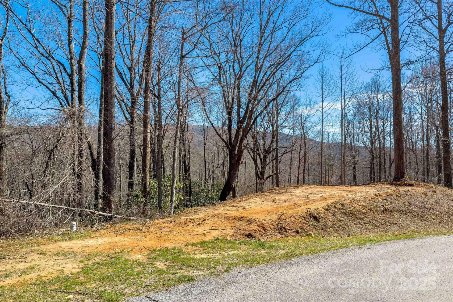 Lot# 158 Hunnicut Mountain Road - Photo 5