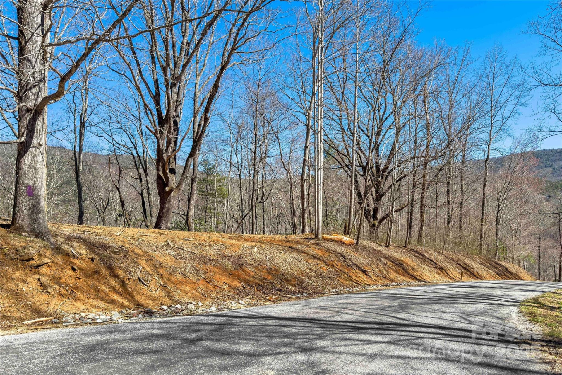 Lot# 158 Hunnicut Mountain Road - Photo 6