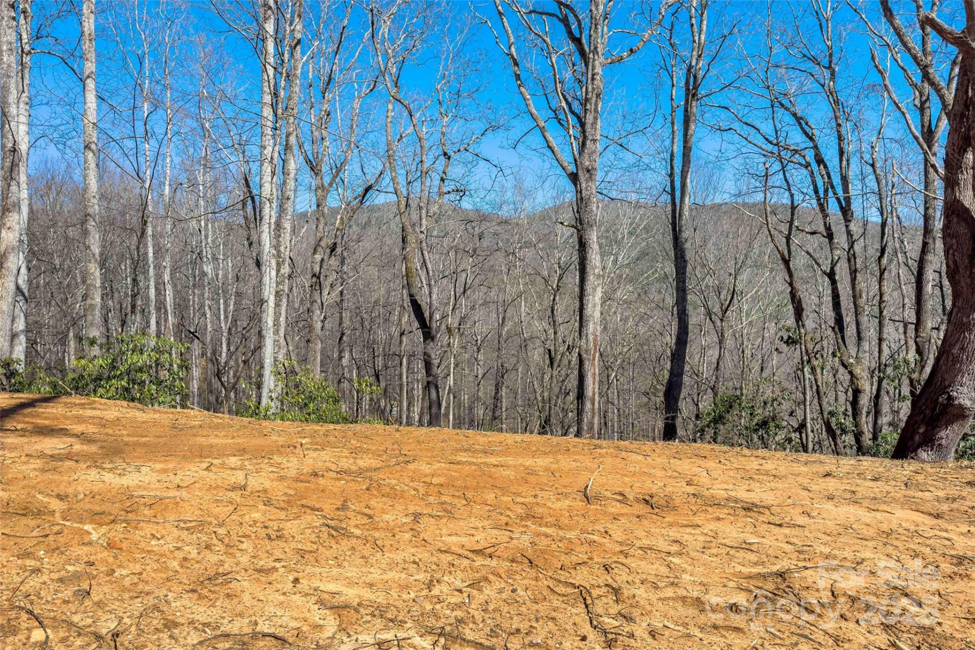 Lot# 158 Hunnicut Mountain Road - Photo 7