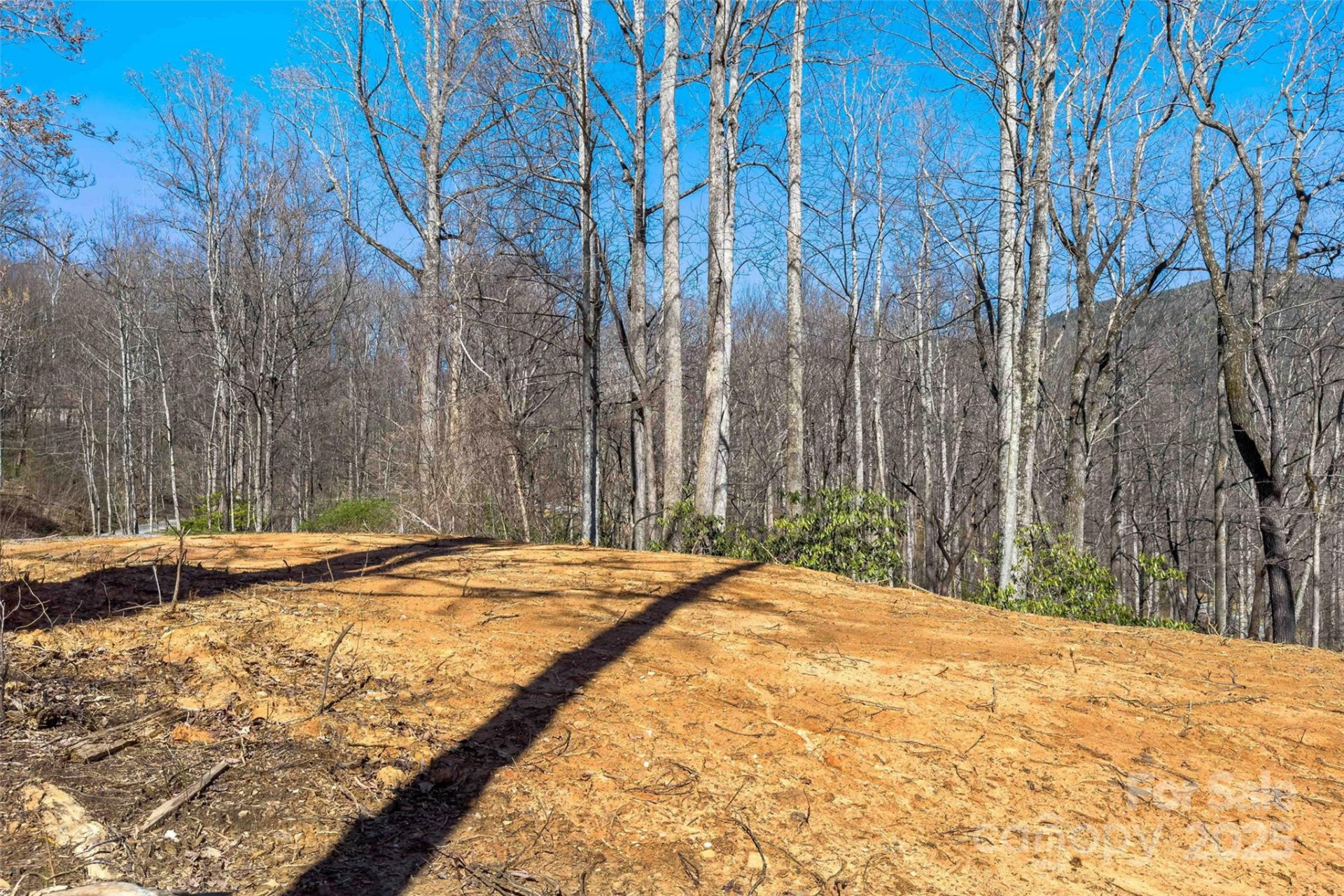 Lot# 158 Hunnicut Mountain Road - Photo 8
