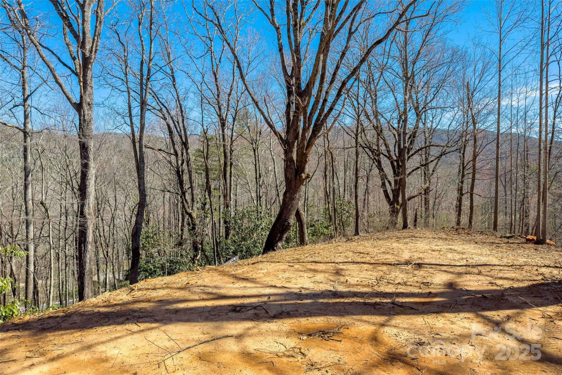 Lot# 158 Hunnicut Mountain Road - Photo 9