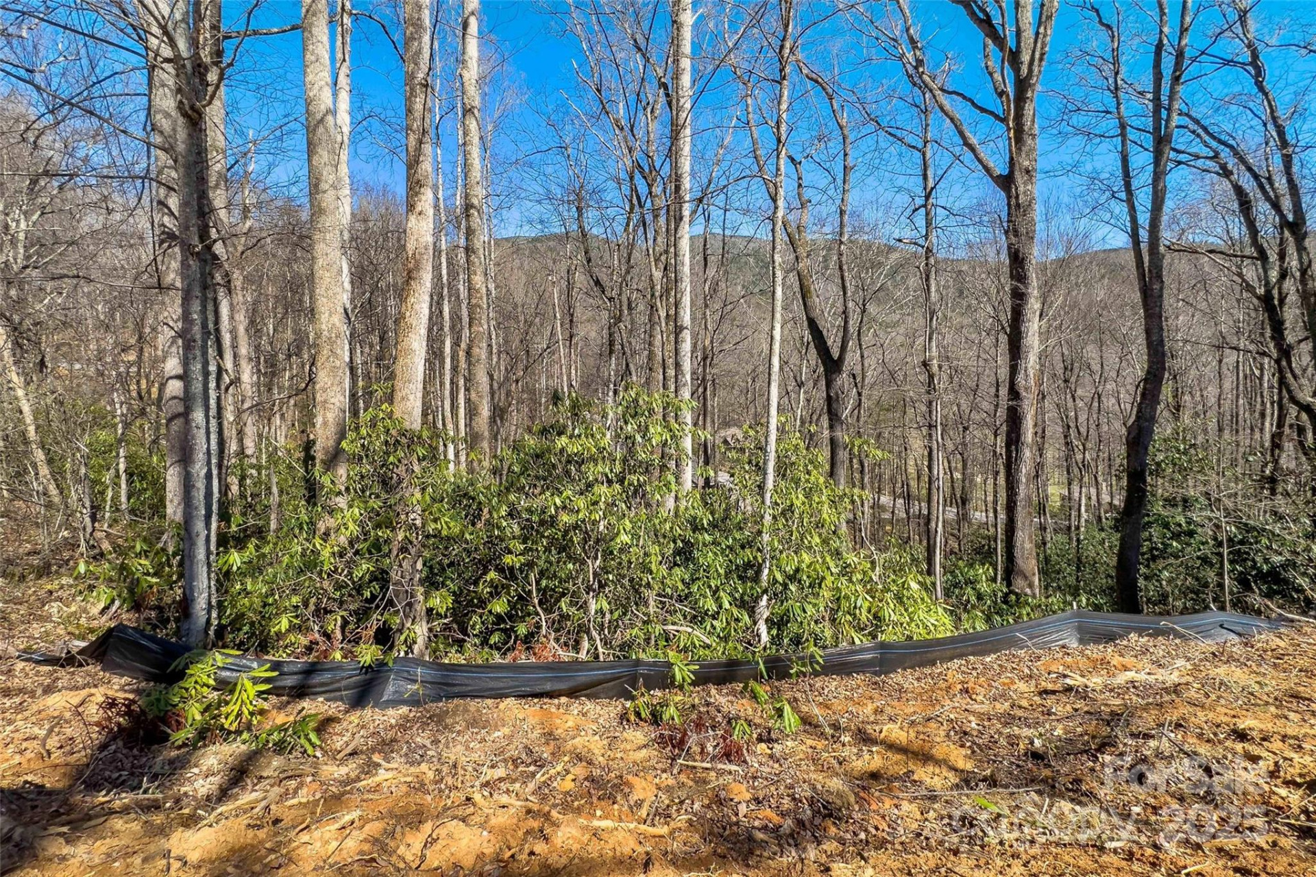 Lot# 158 Hunnicut Mountain Road - Photo 10
