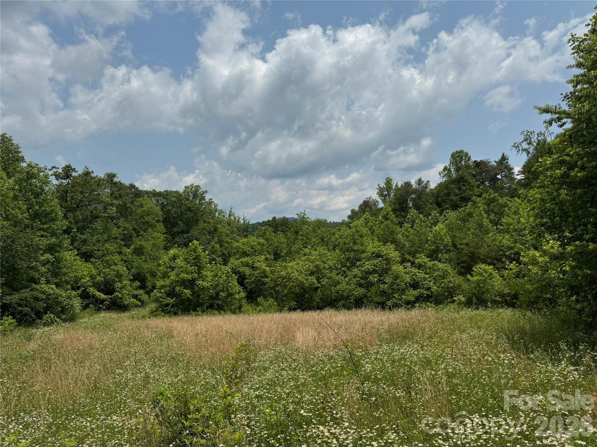 187 Hodges Creek Road - Photo 11