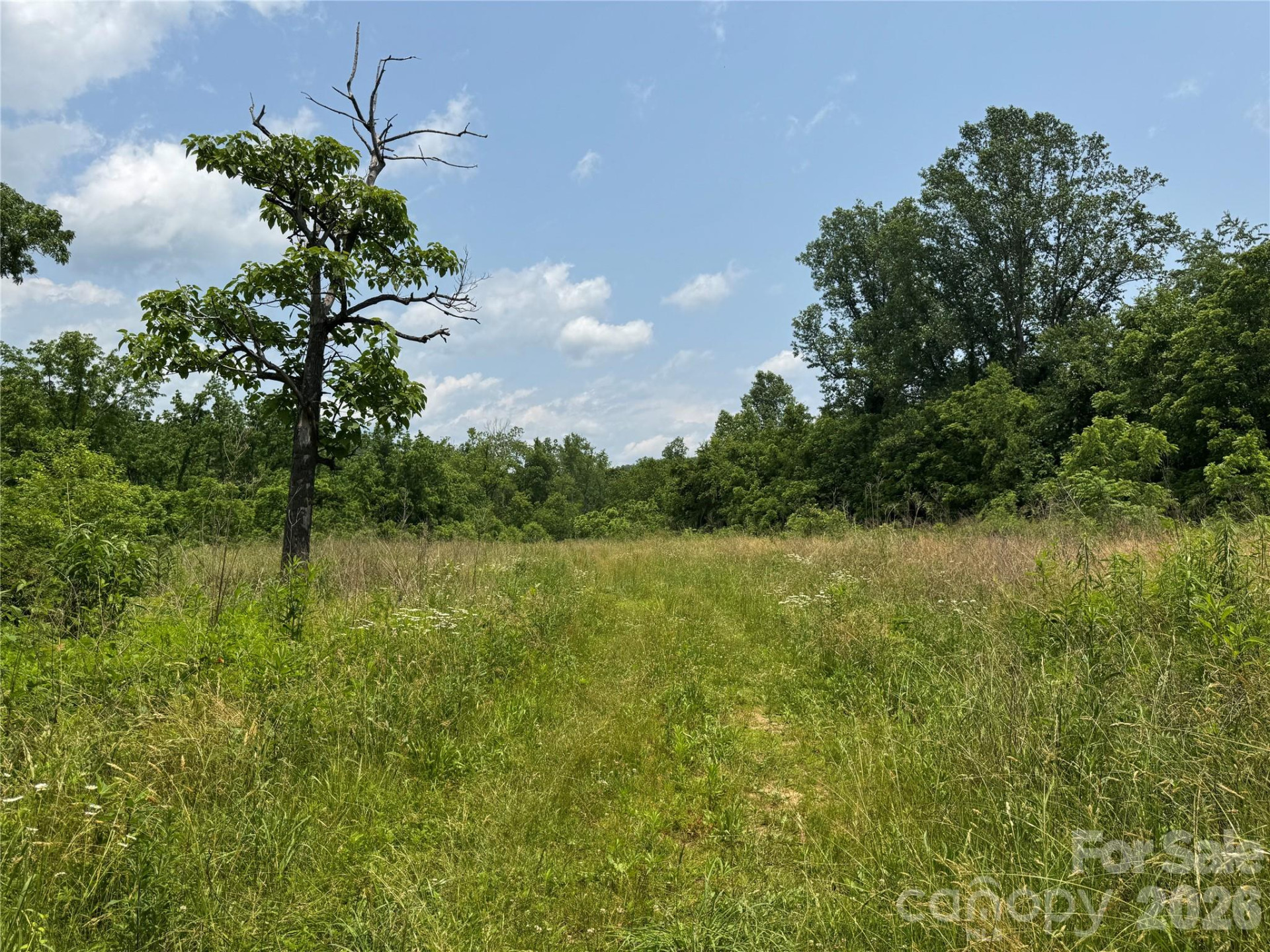 187 Hodges Creek Road - Photo 12