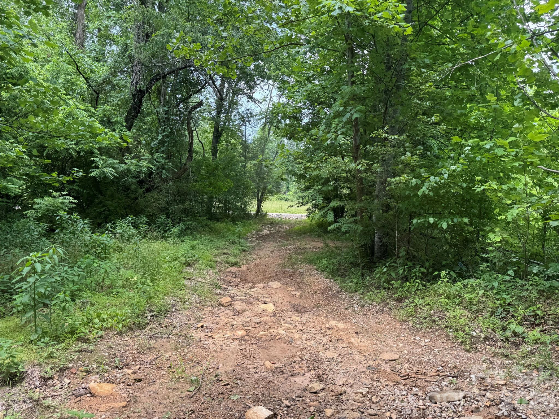 187 Hodges Creek Road - Photo 13