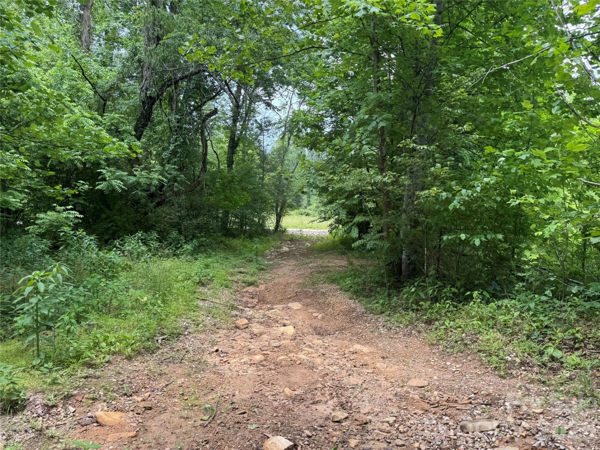 187 Hodges Creek Road - Photo 13