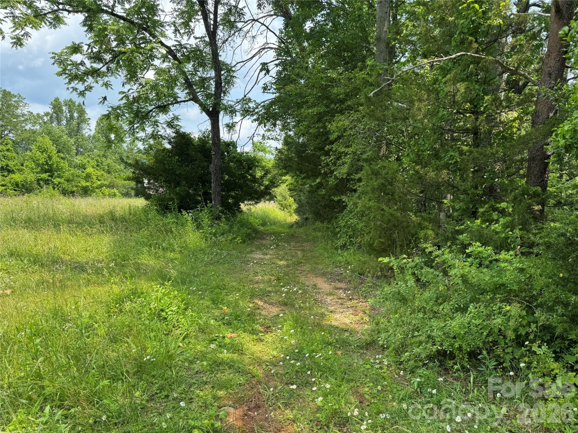 187 Hodges Creek Road - Photo 17