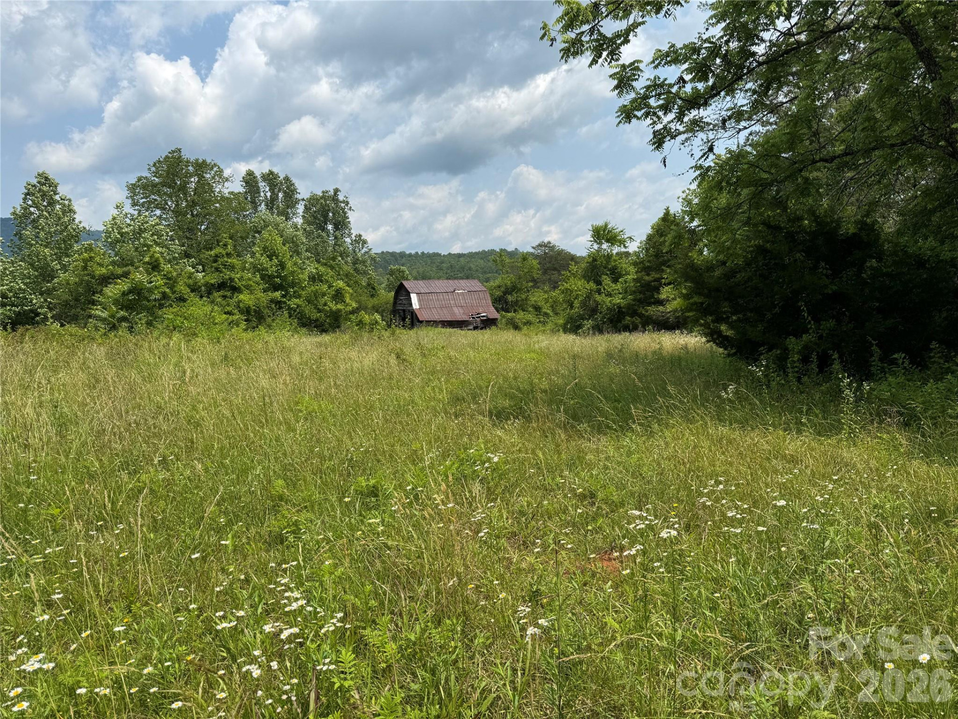 187 Hodges Creek Road - Photo 18