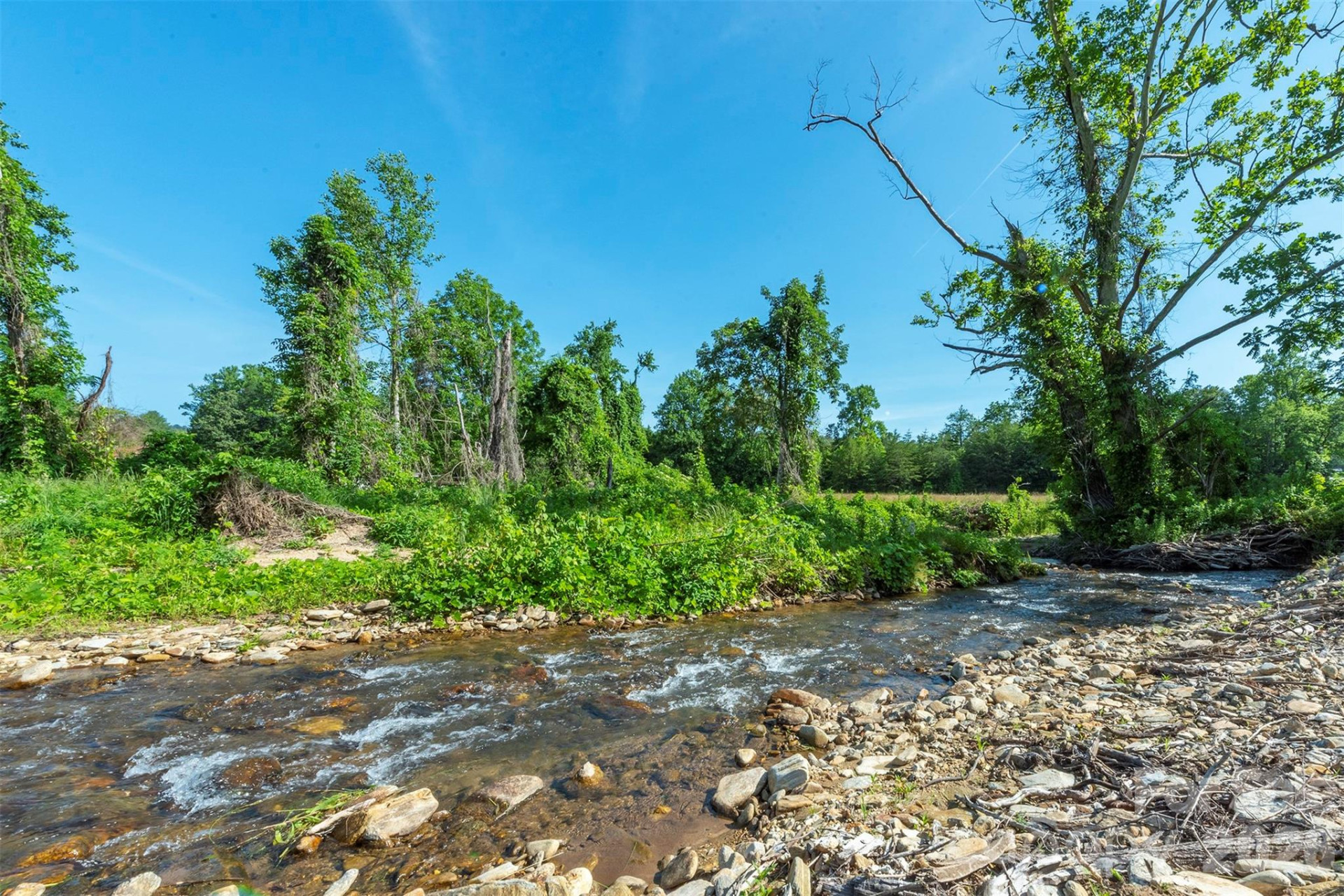 187 Hodges Creek Road - Photo 3