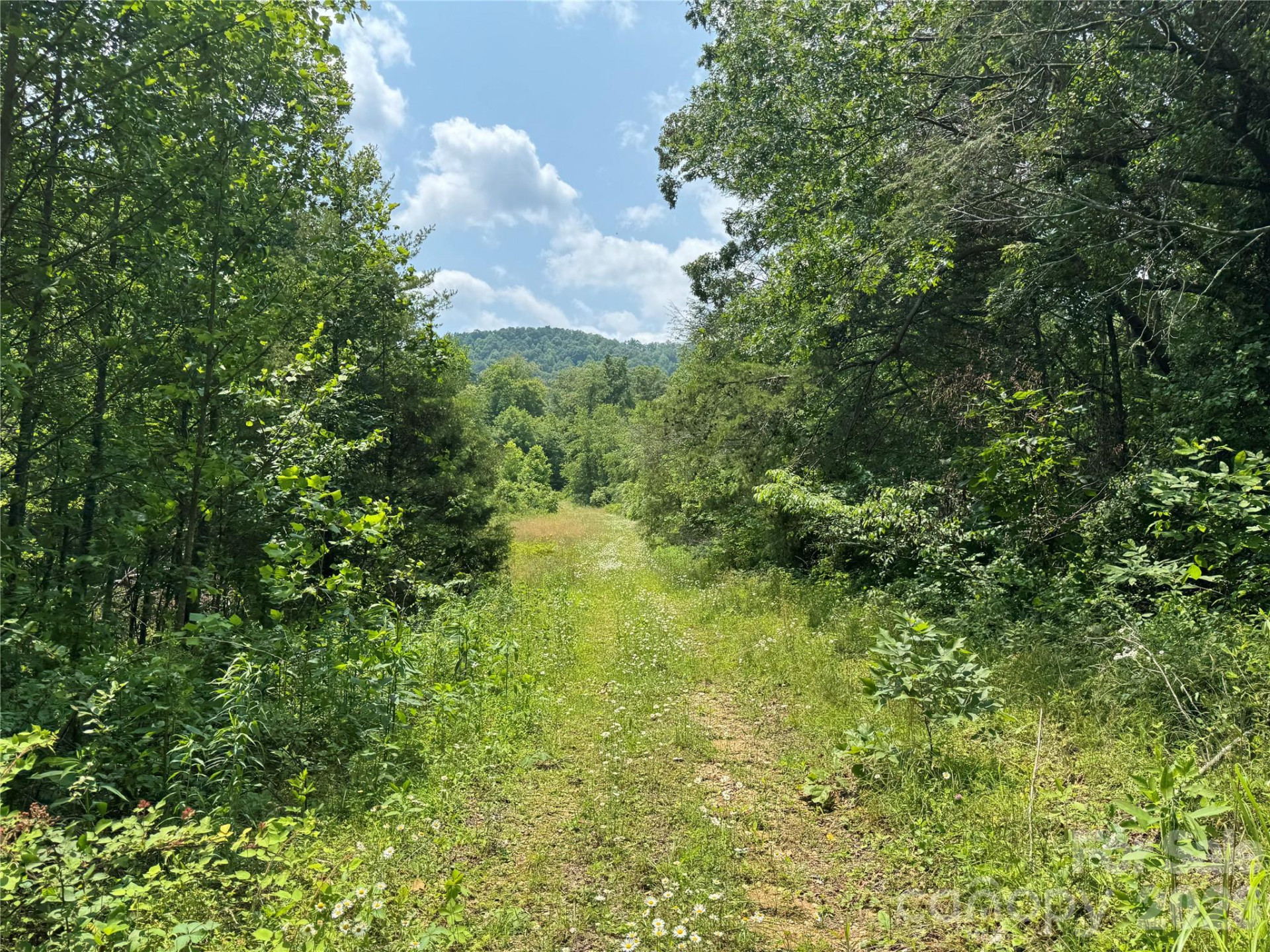 187 Hodges Creek Road - Photo 21