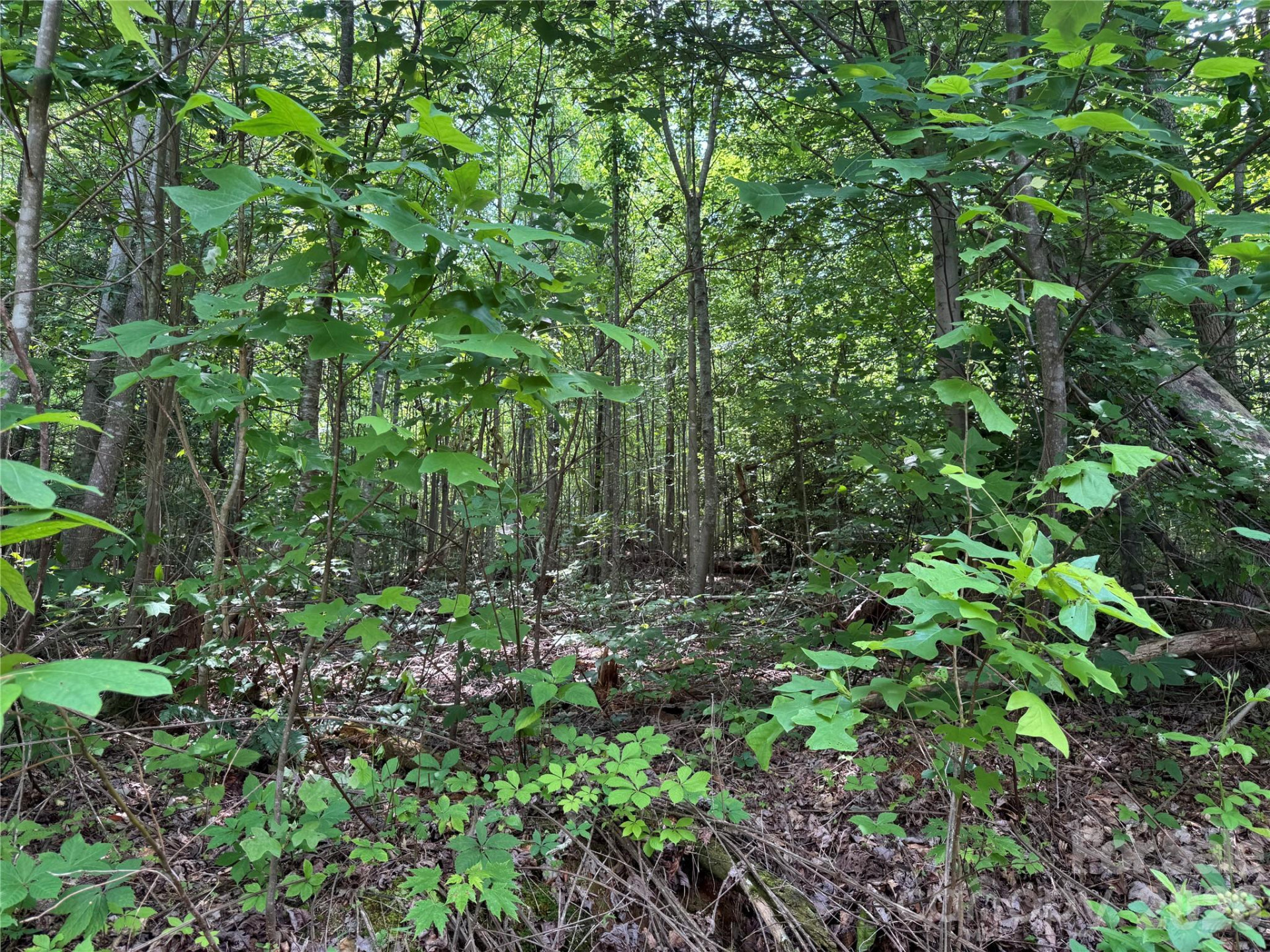 187 Hodges Creek Road - Photo 22