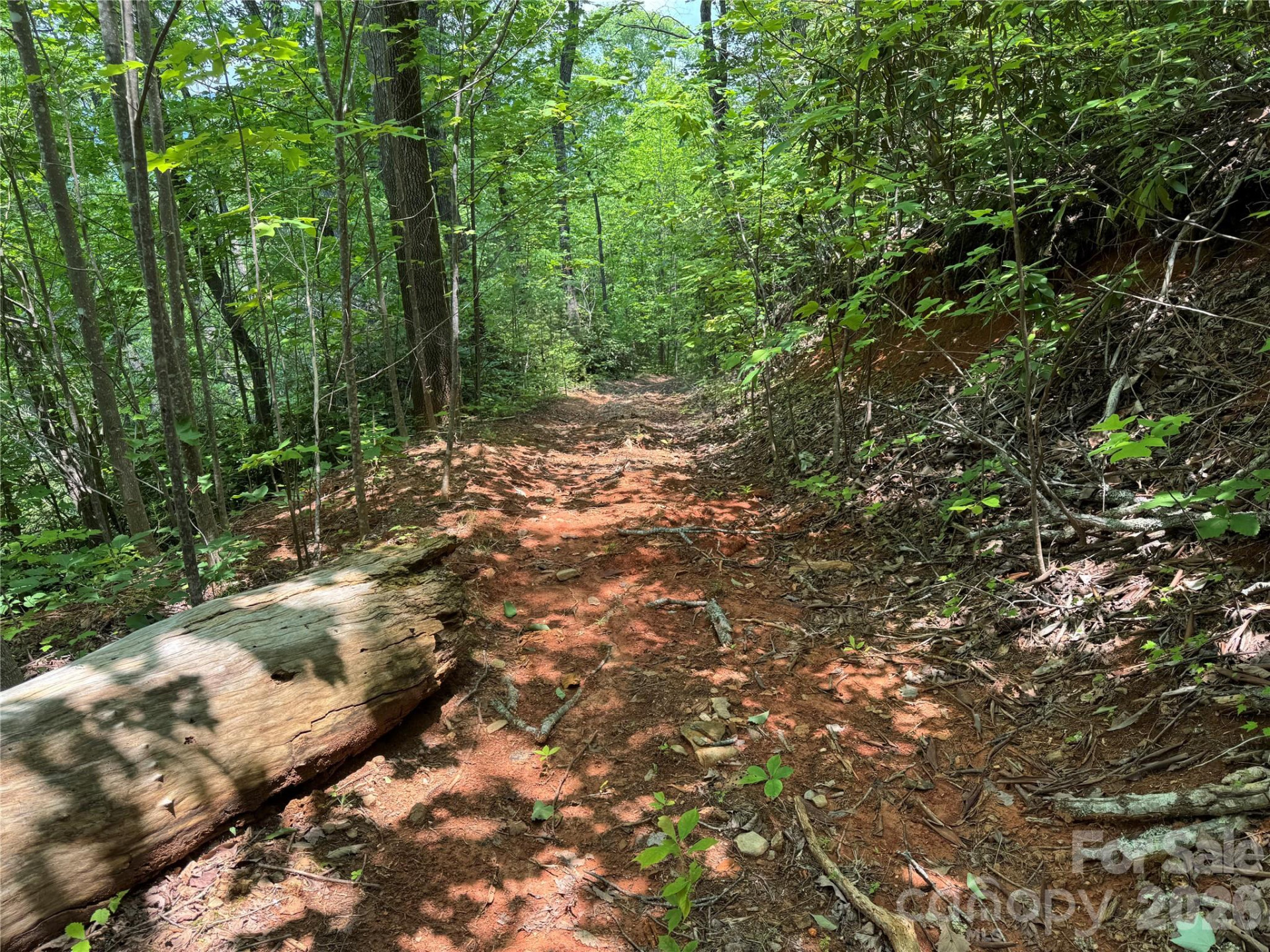 187 Hodges Creek Road - Photo 26