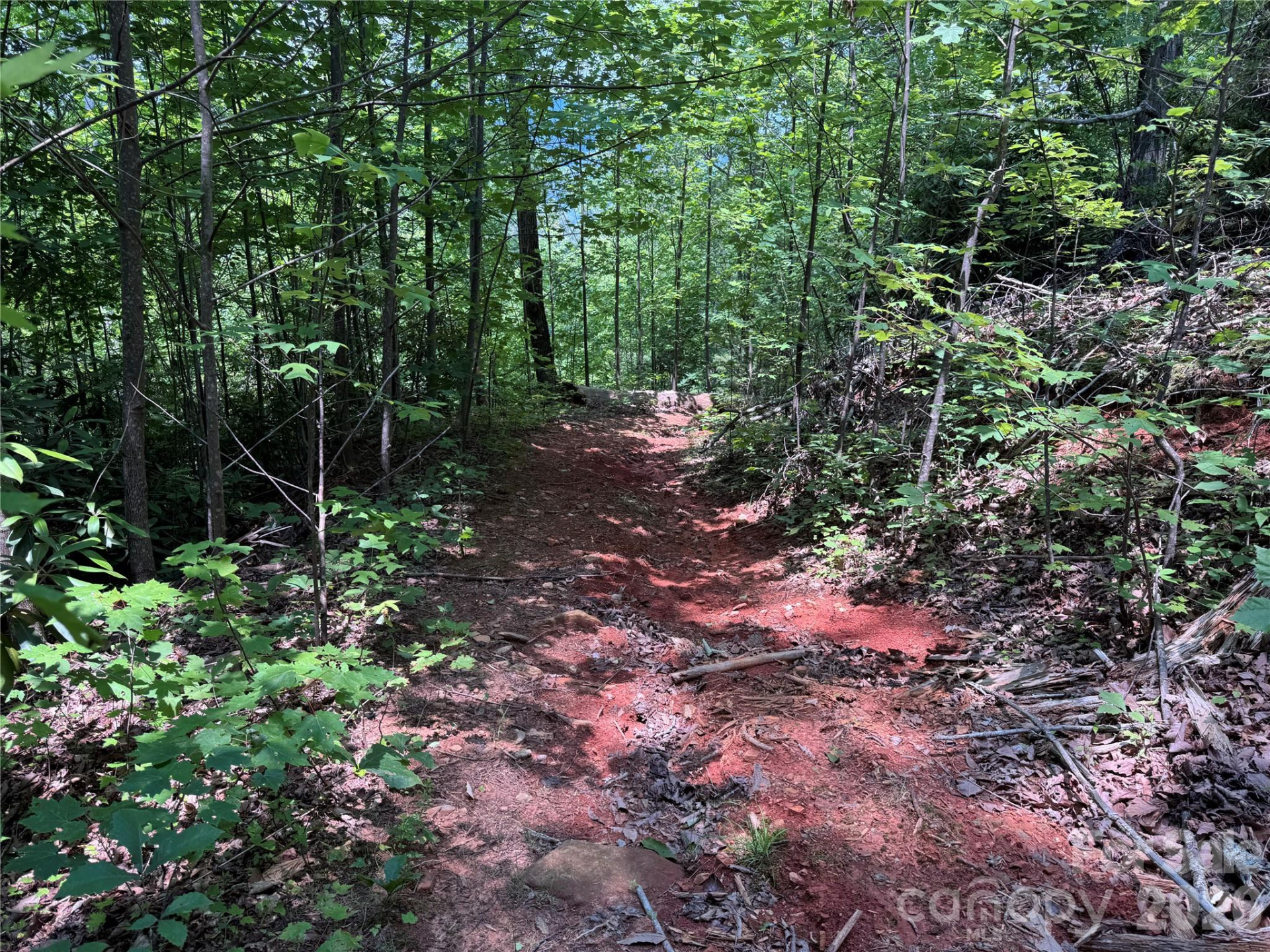 187 Hodges Creek Road - Photo 27