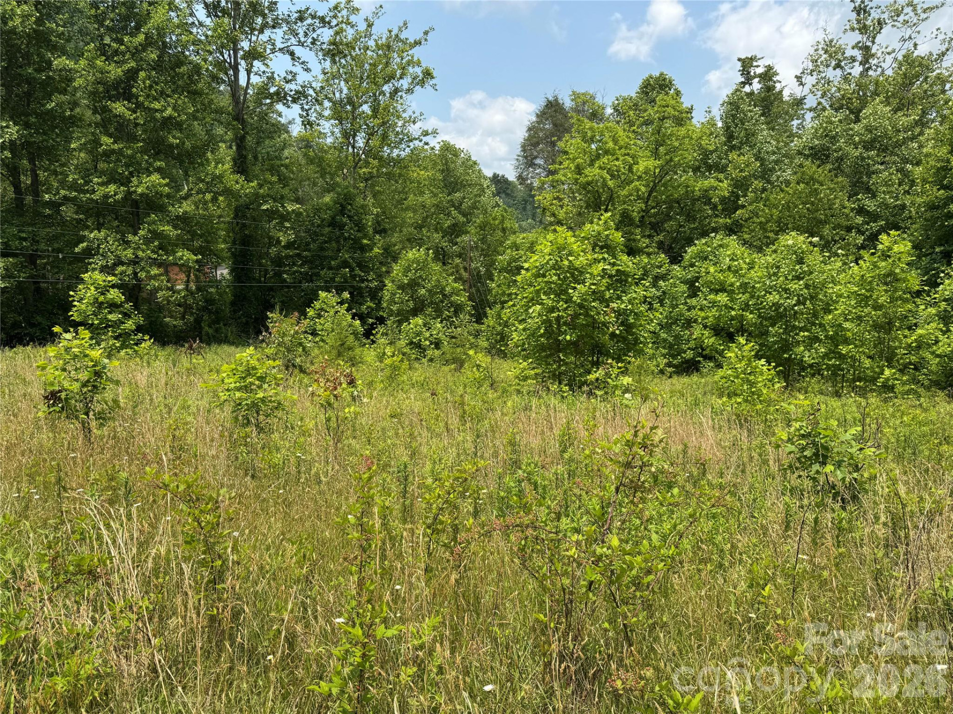 187 Hodges Creek Road - Photo 28