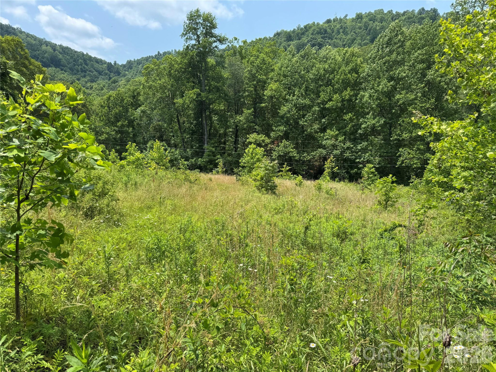 187 Hodges Creek Road - Photo 29