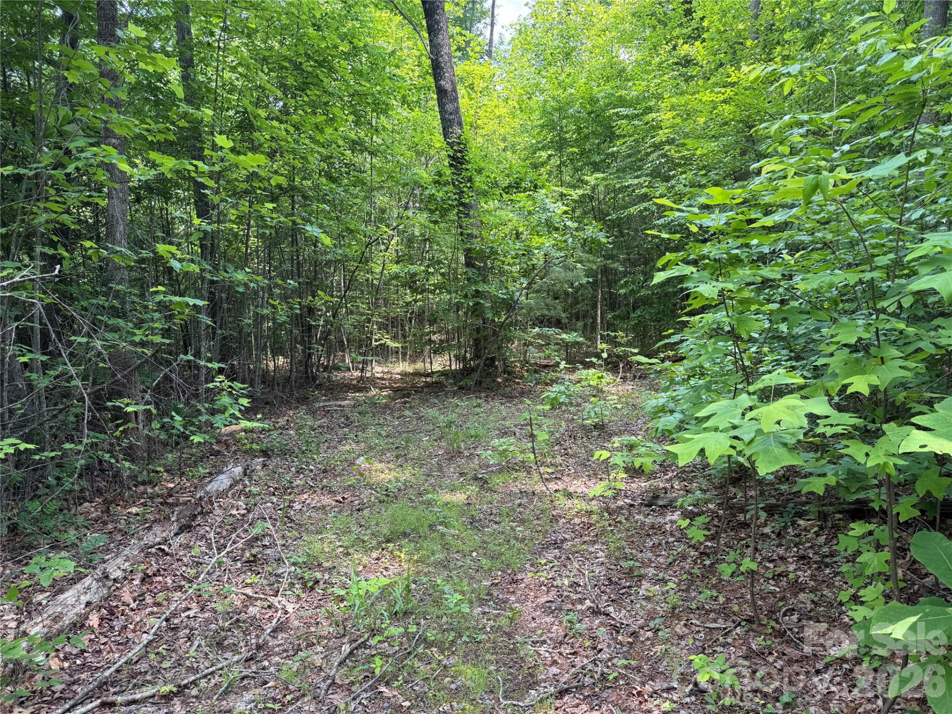 187 Hodges Creek Road - Photo 30