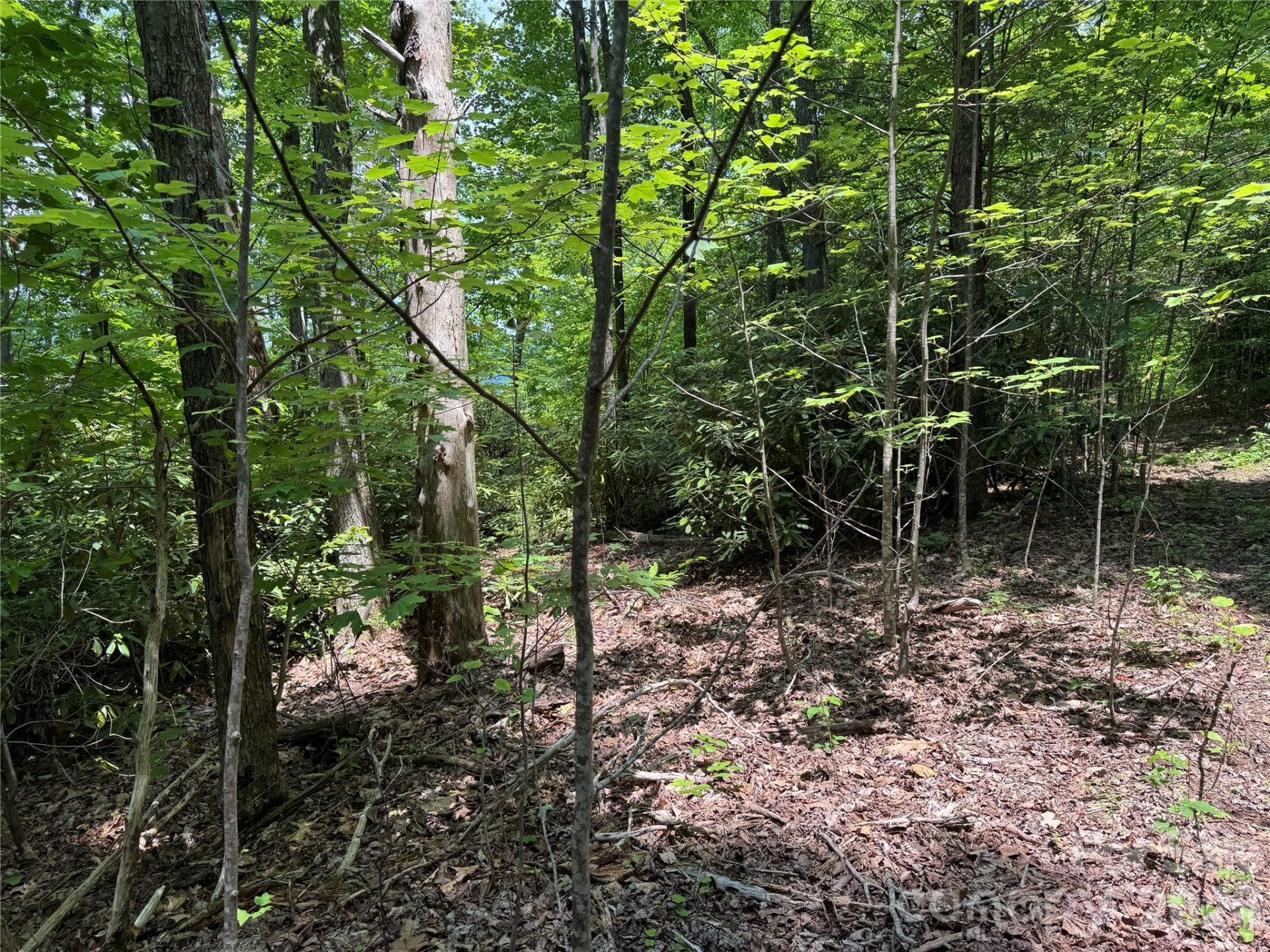 187 Hodges Creek Road - Photo 31