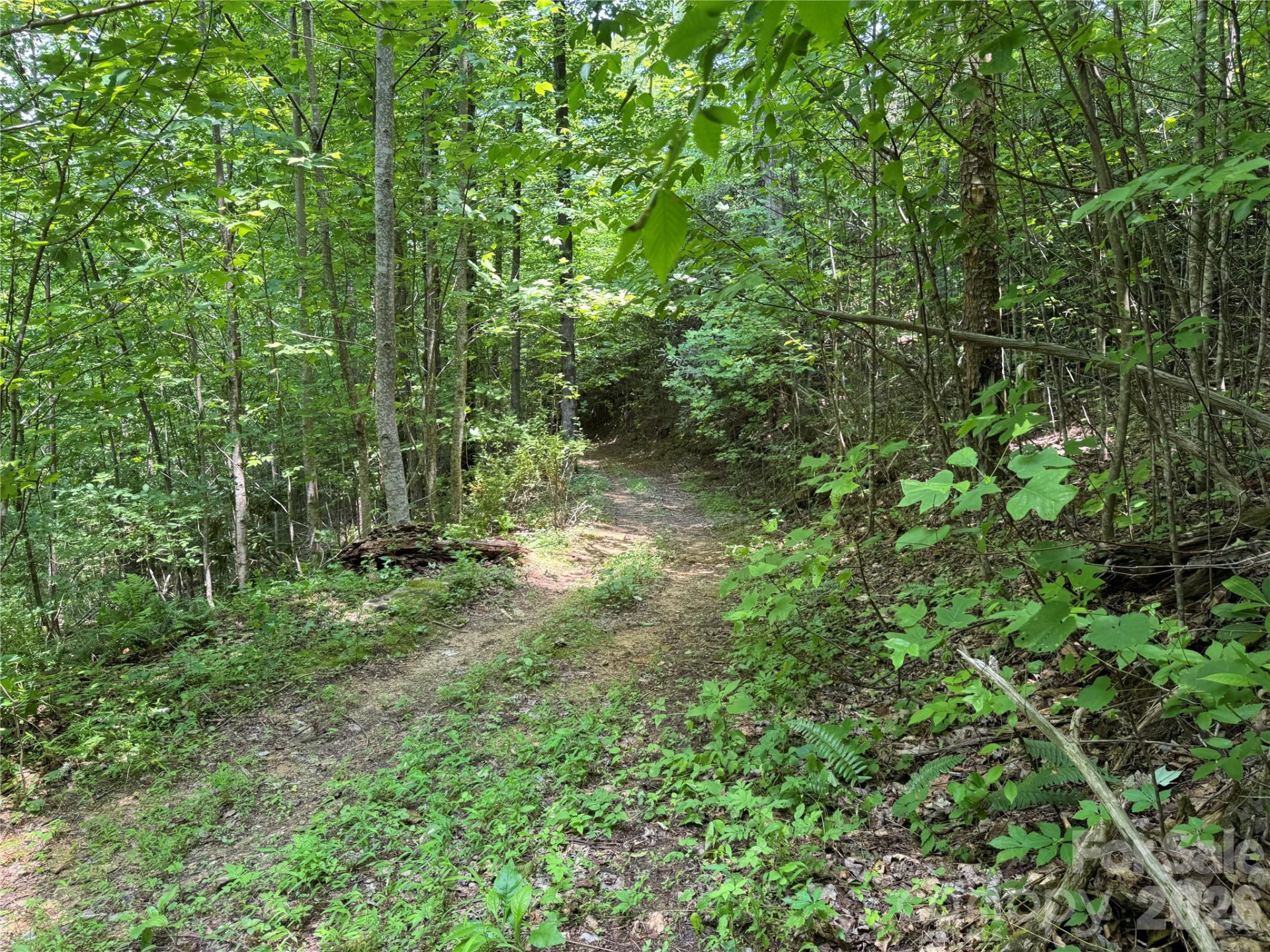 187 Hodges Creek Road - Photo 32