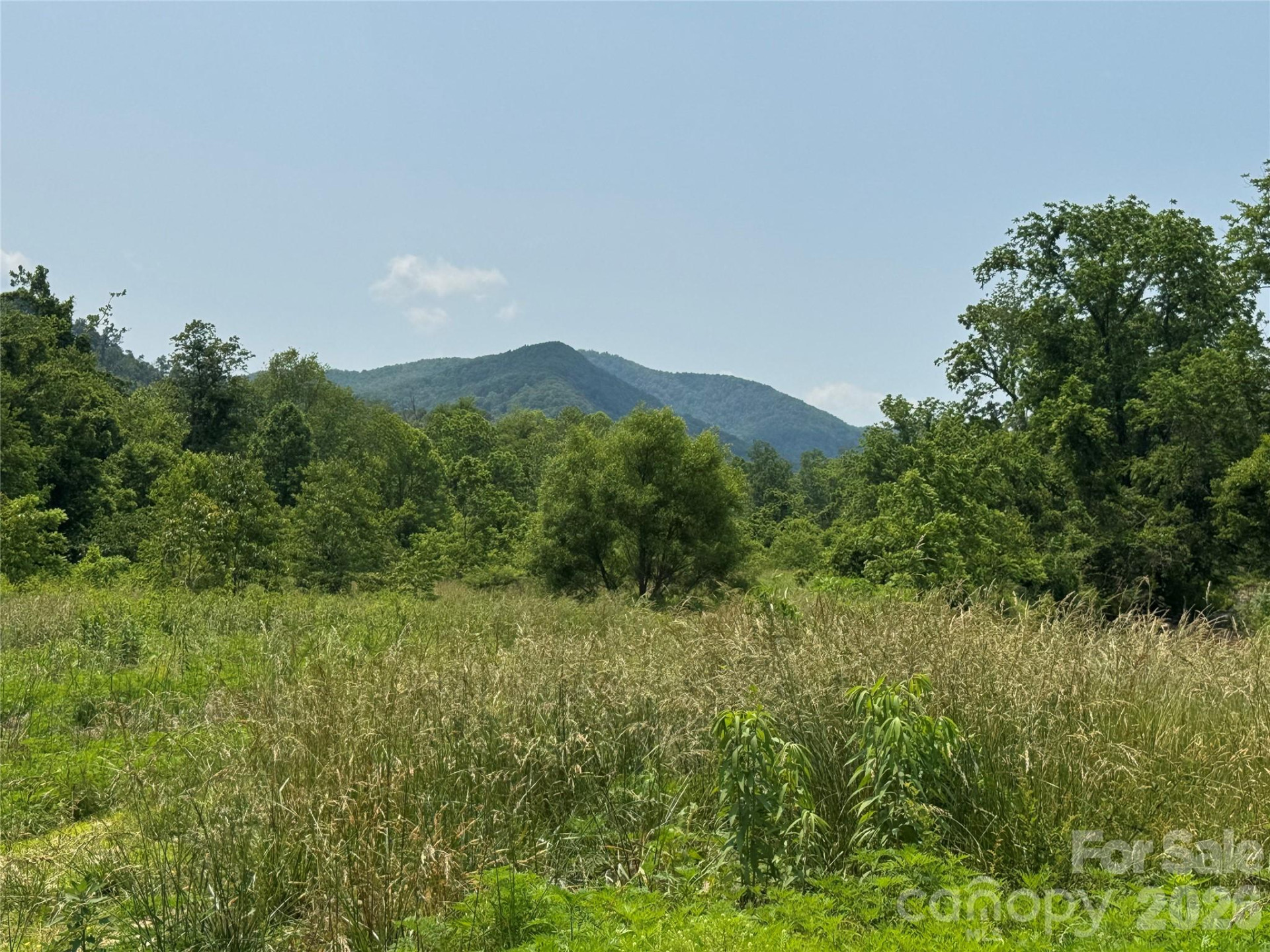 187 Hodges Creek Road - Photo 6