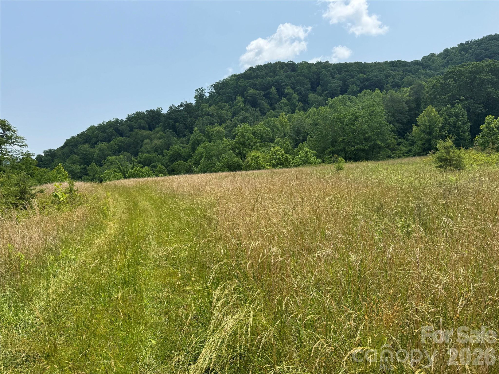 187 Hodges Creek Road - Photo 9